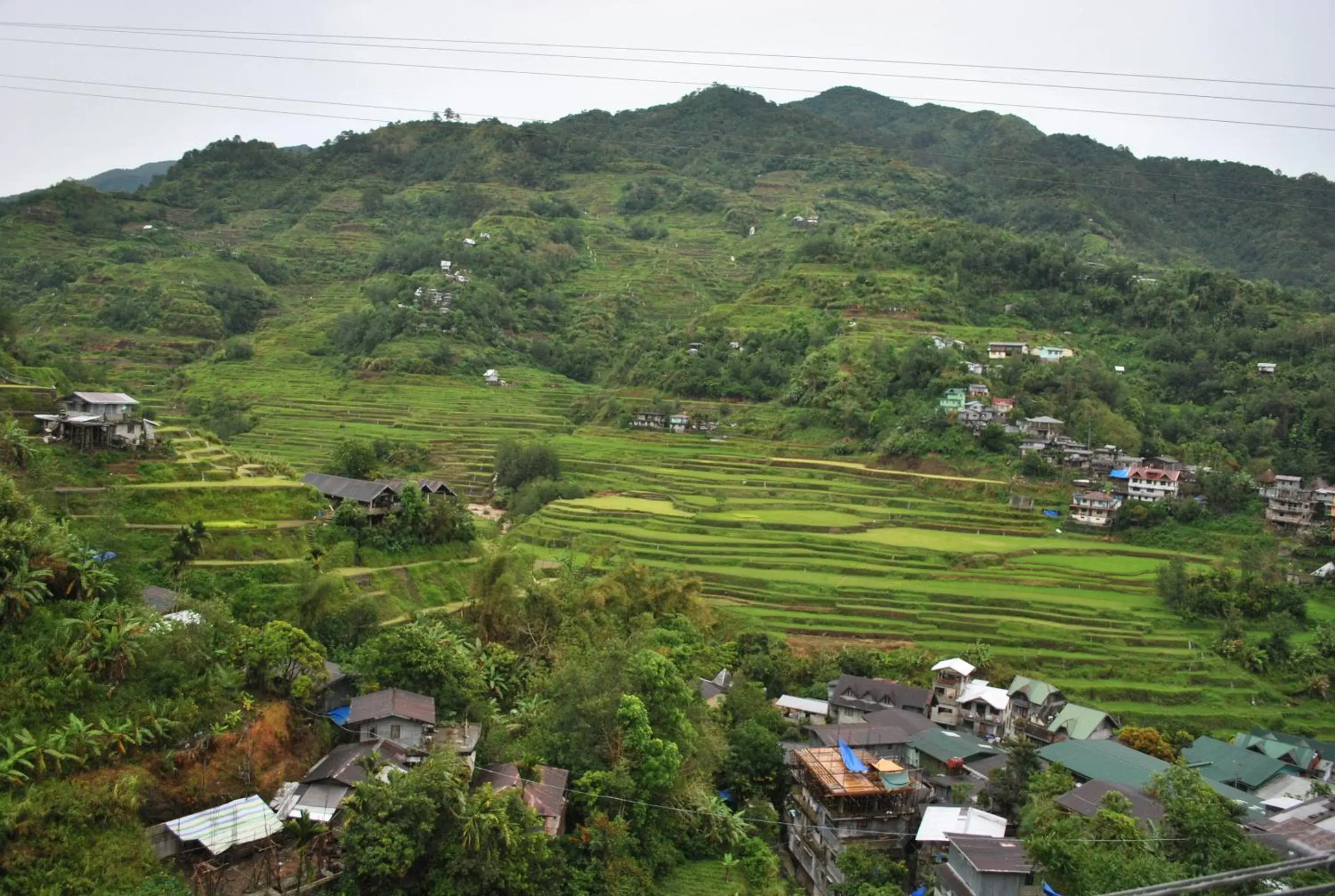 Banaue Homestay Banaue Homestay