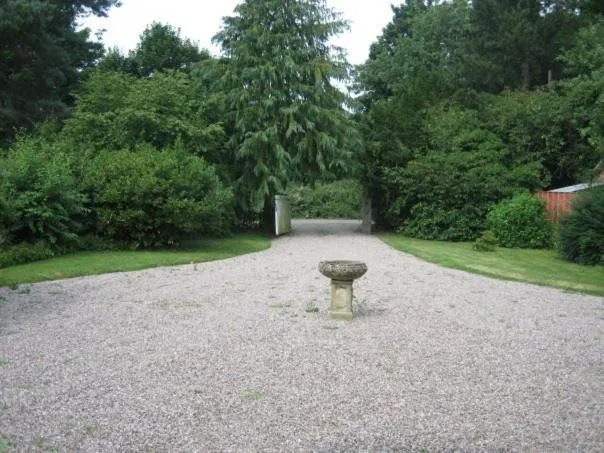 Garden in Trelough House B&B
