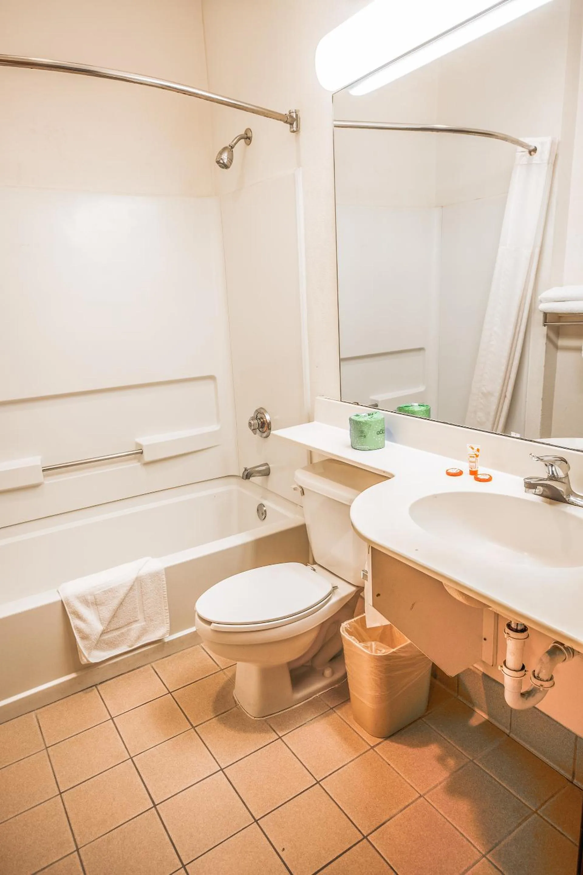 Bathroom in Econo Lodge Inn & Suites Mesquite - Dallas East