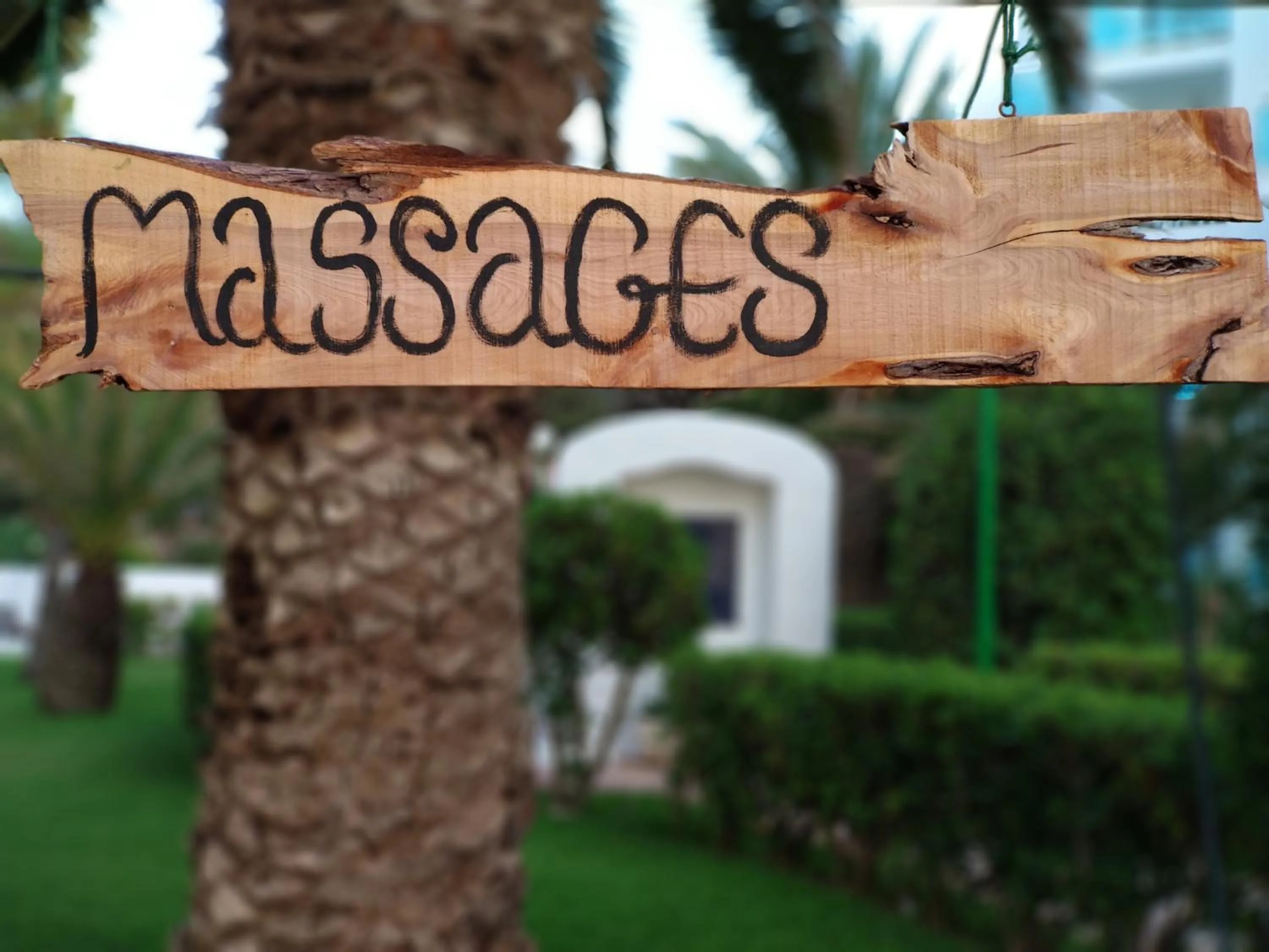 Activities in Aparthotel Nereida