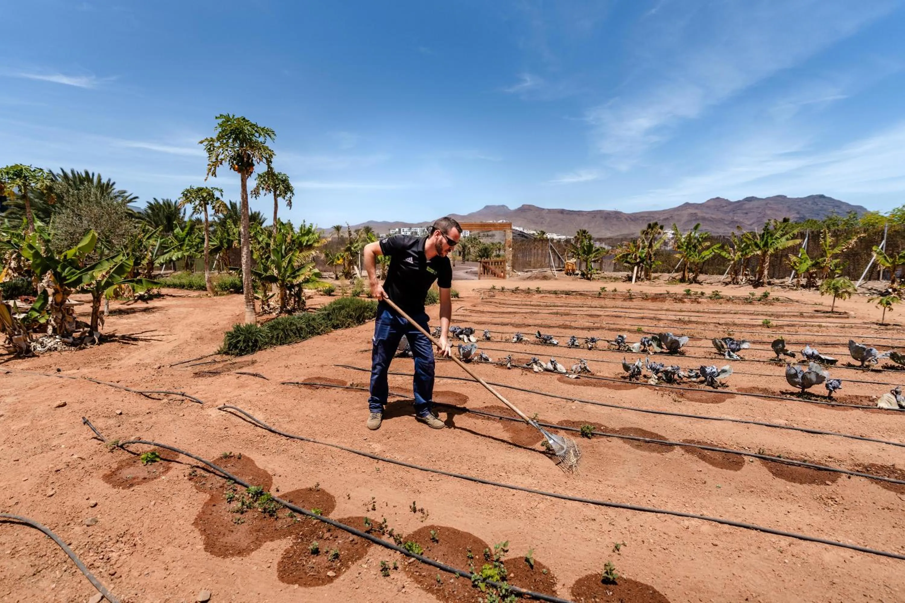 Garden in Playitas Aparthotel - Sports Resort