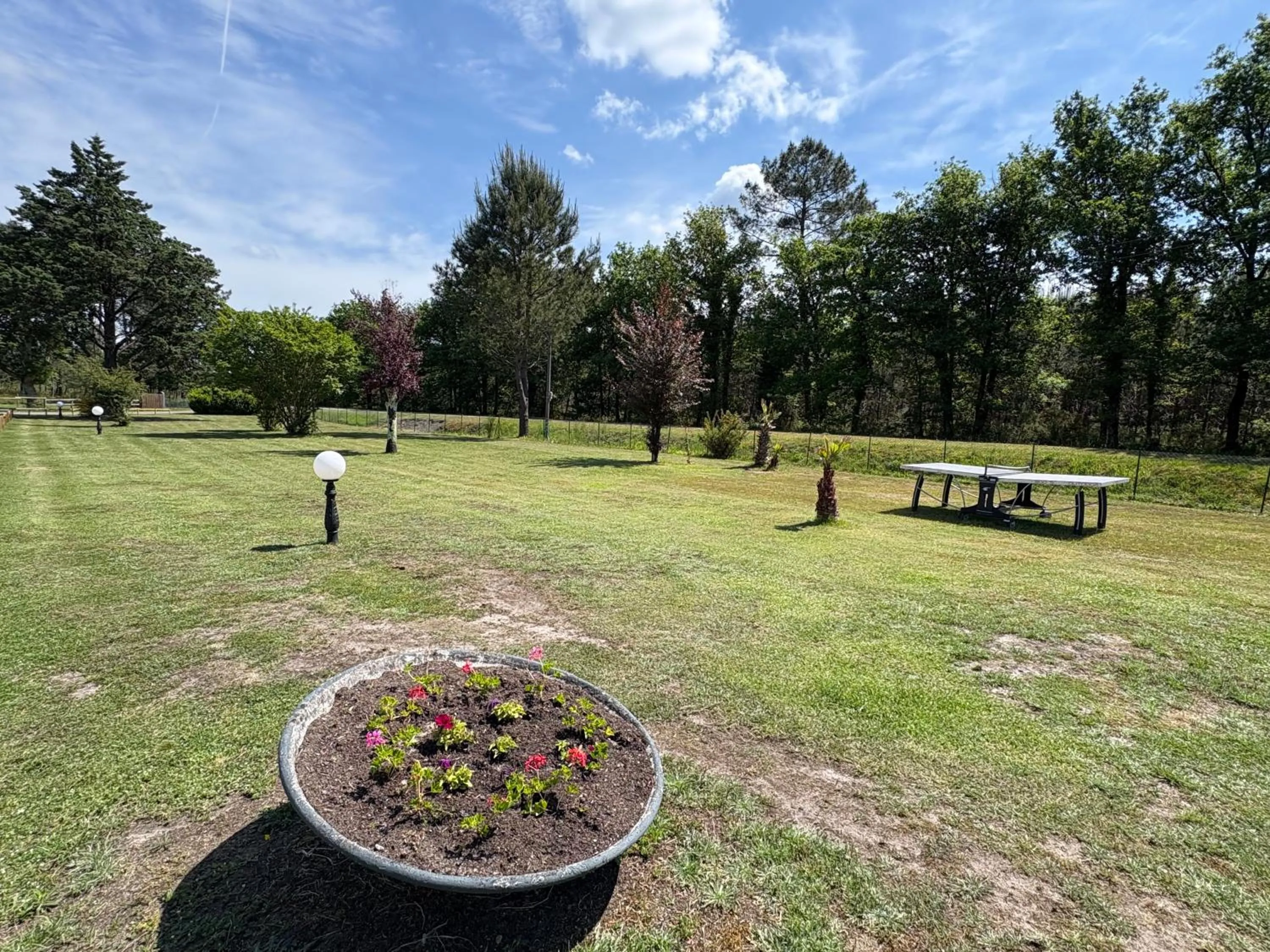 Garden in Hôtel Paris Madrid