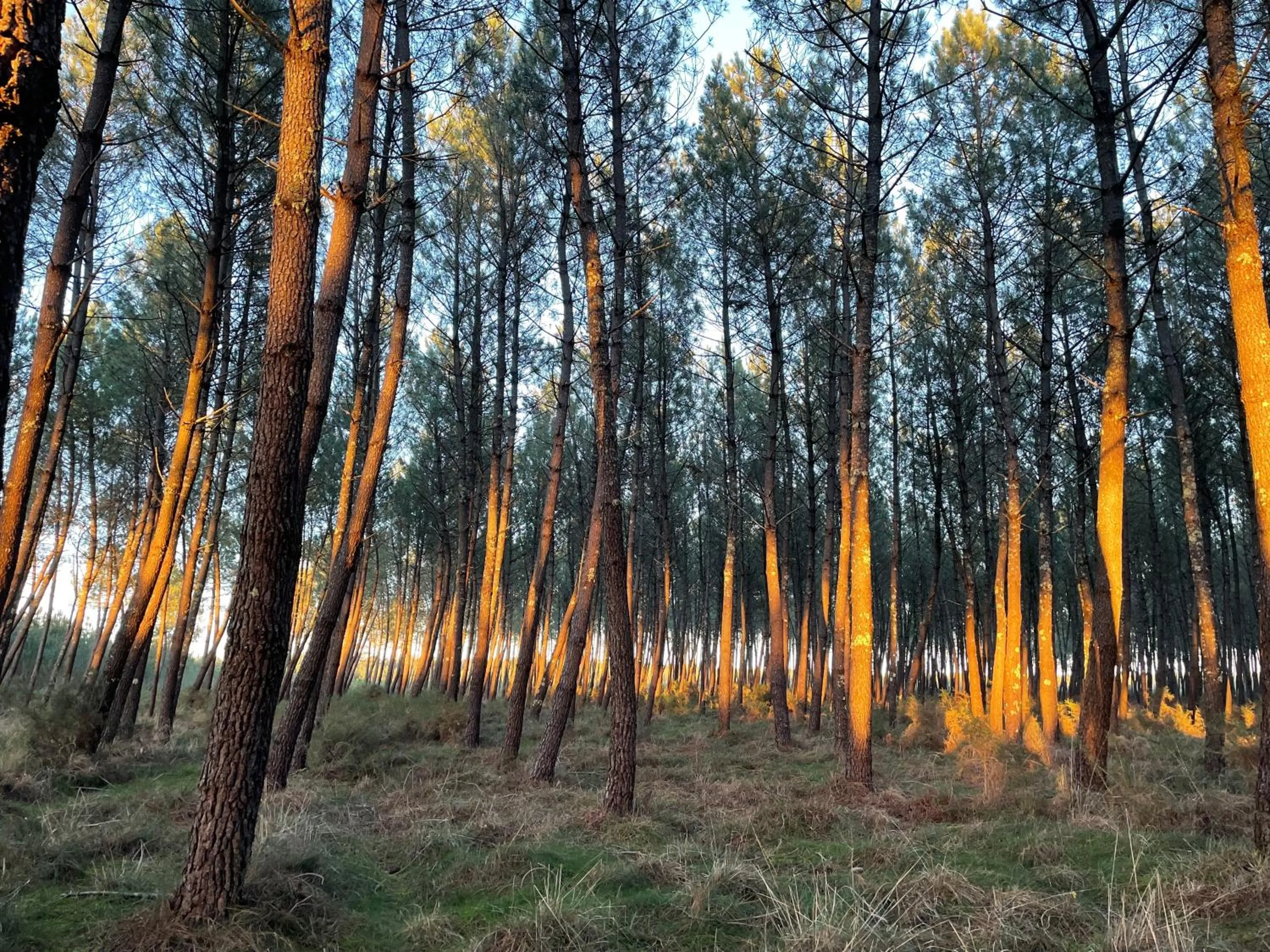 Natural landscape in Hôtel Paris Madrid