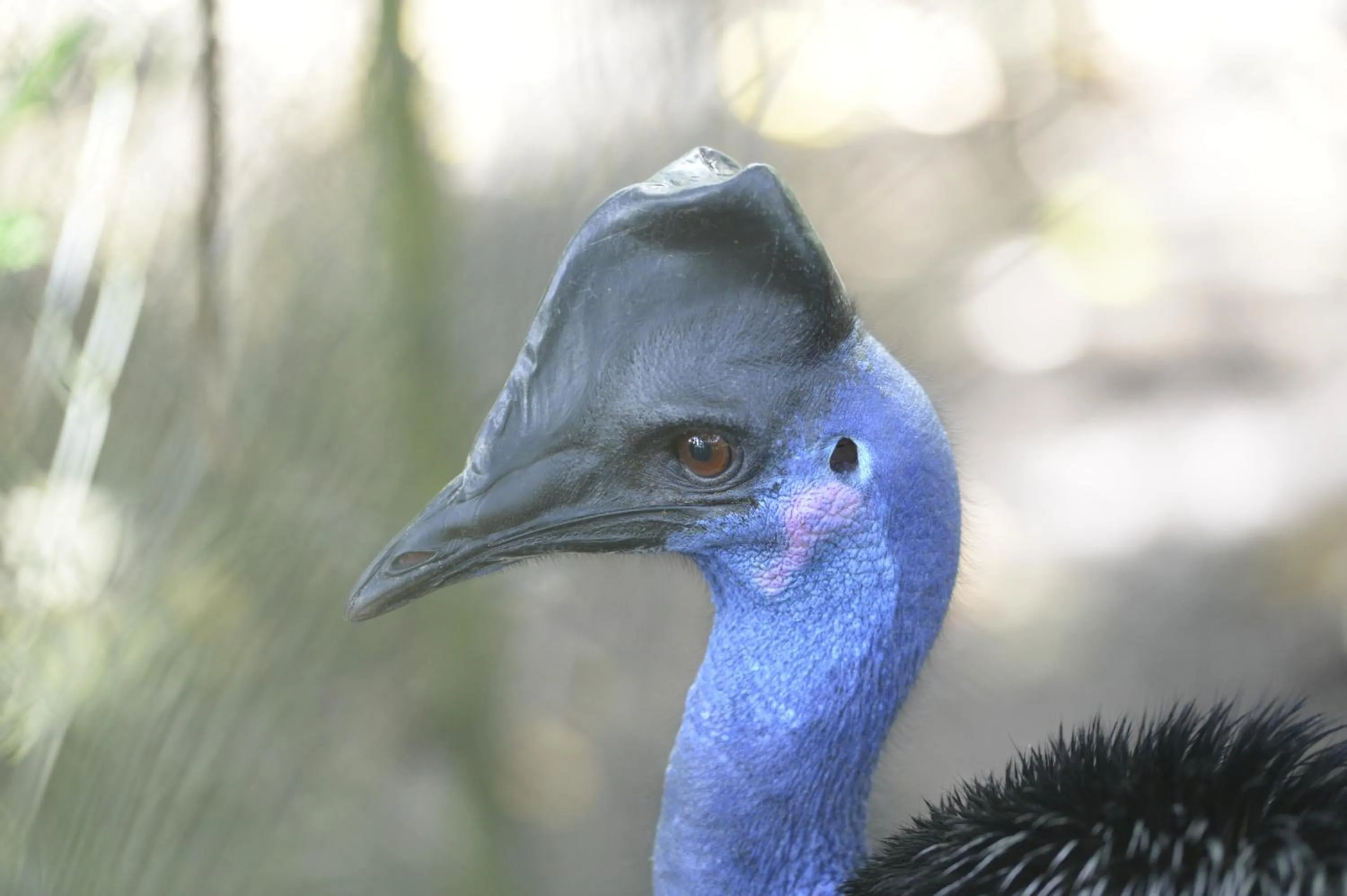 Off site in Gazelle International Hotel