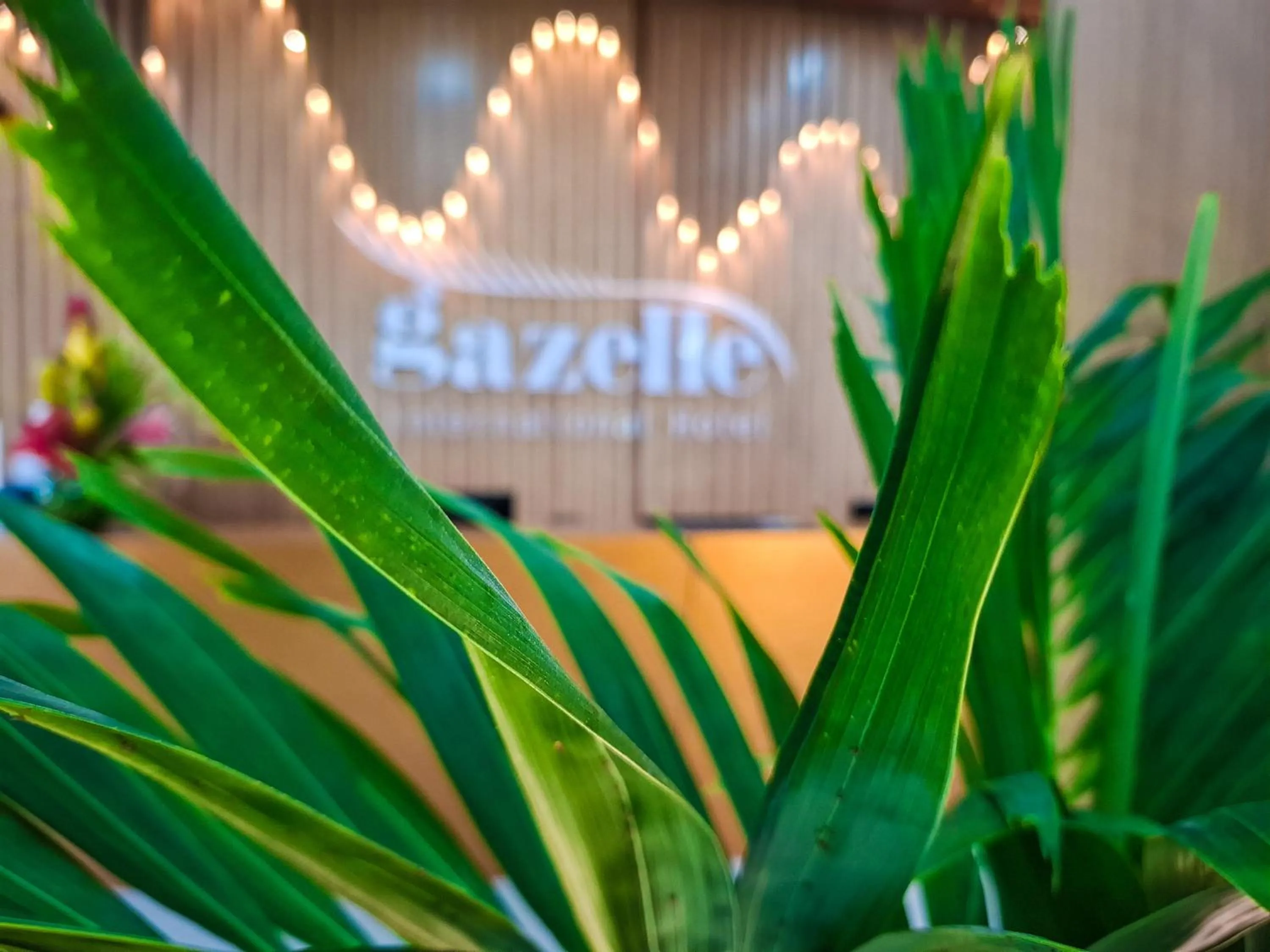 Gazelle International Hotel