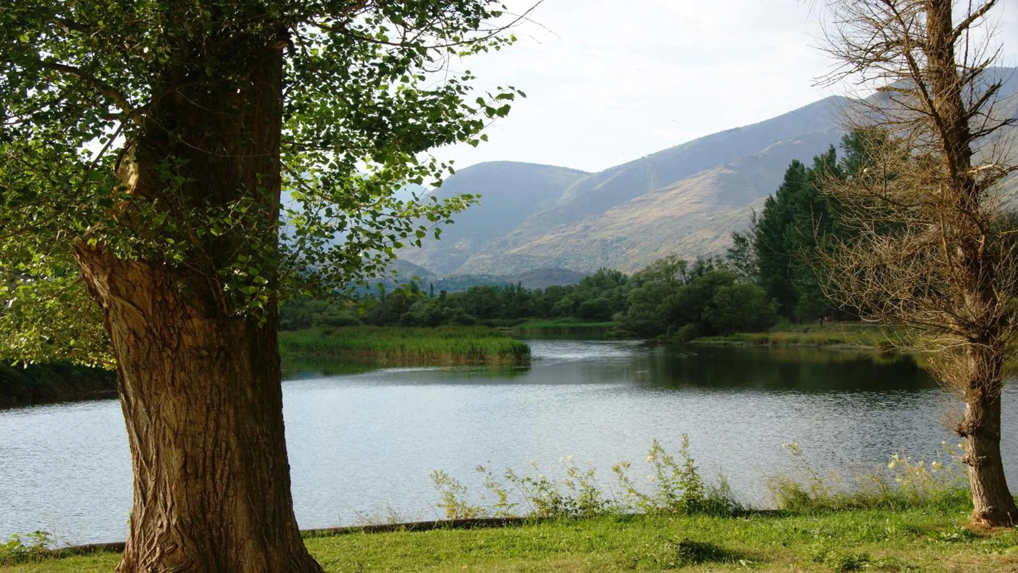 Natural landscape in Aiguestortes Camping Resort