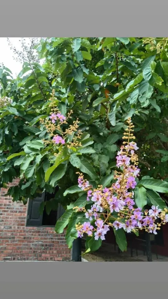 Other in Padimas Villa @Datai Valley