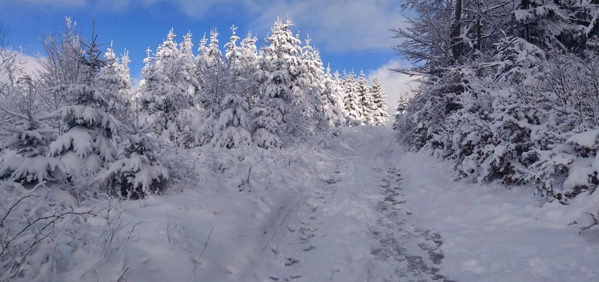 Winter in Gasthof Braun