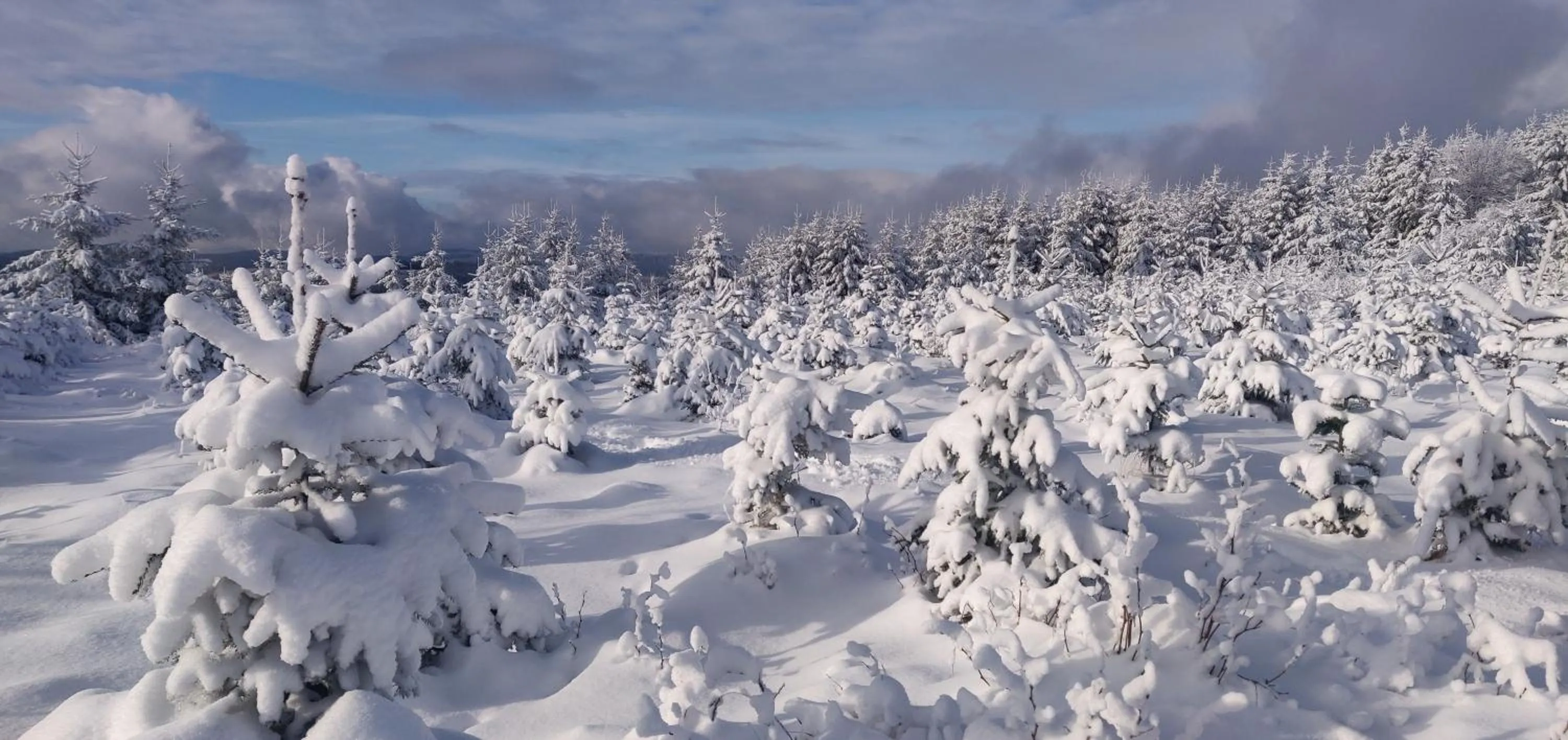 Winter in Gasthof Braun