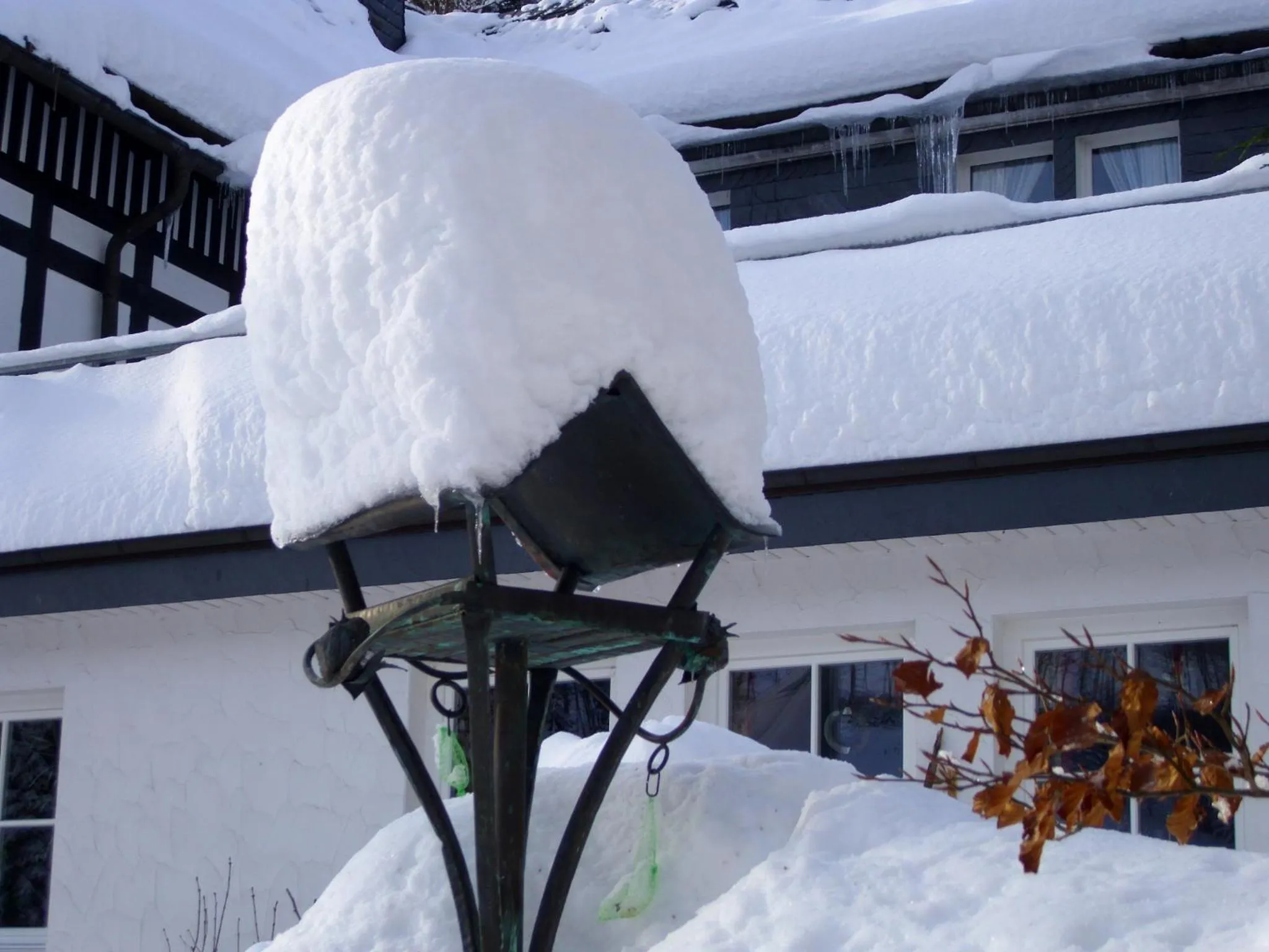 Natural landscape in Gasthof Braun