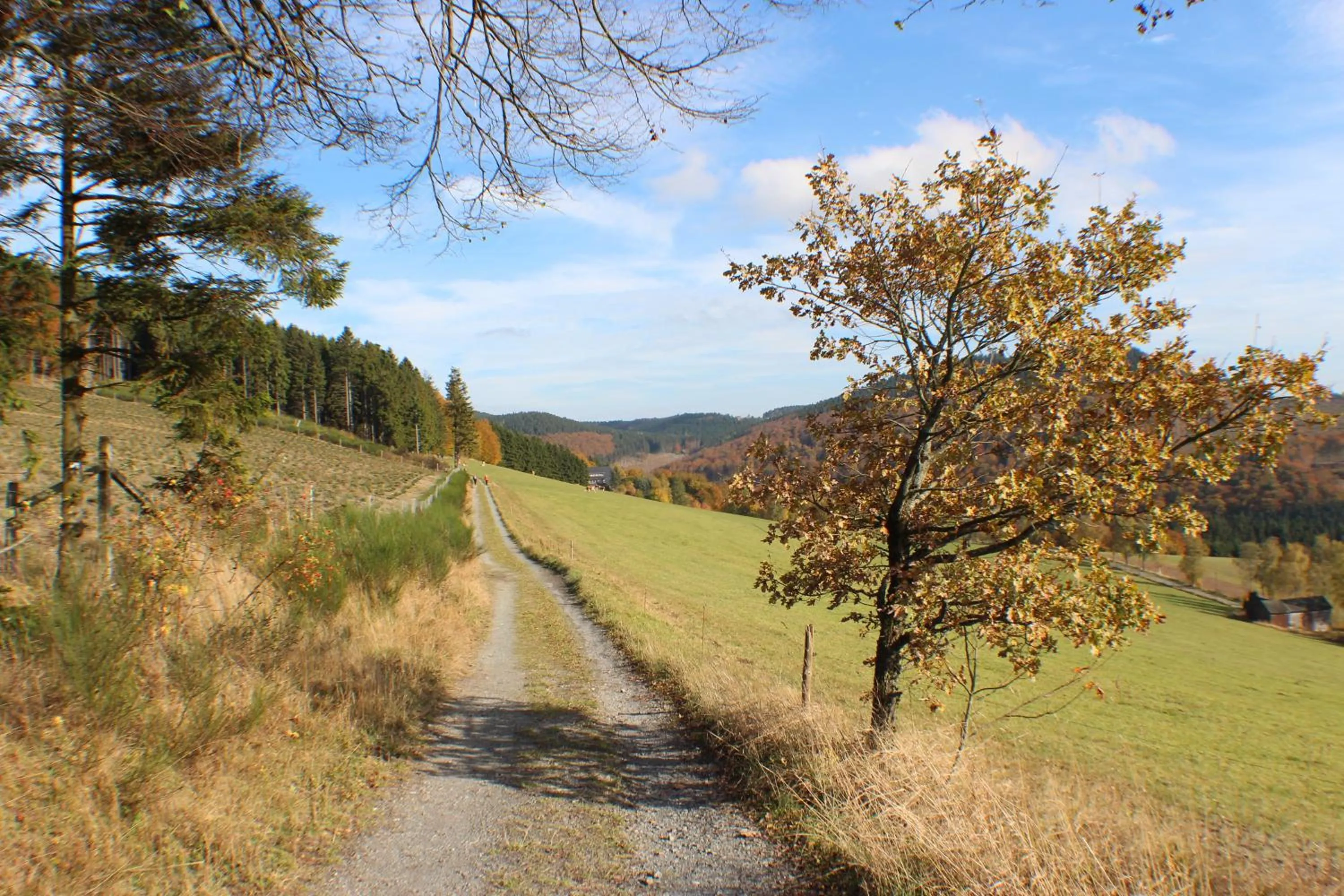 Natural landscape in Gasthof Braun