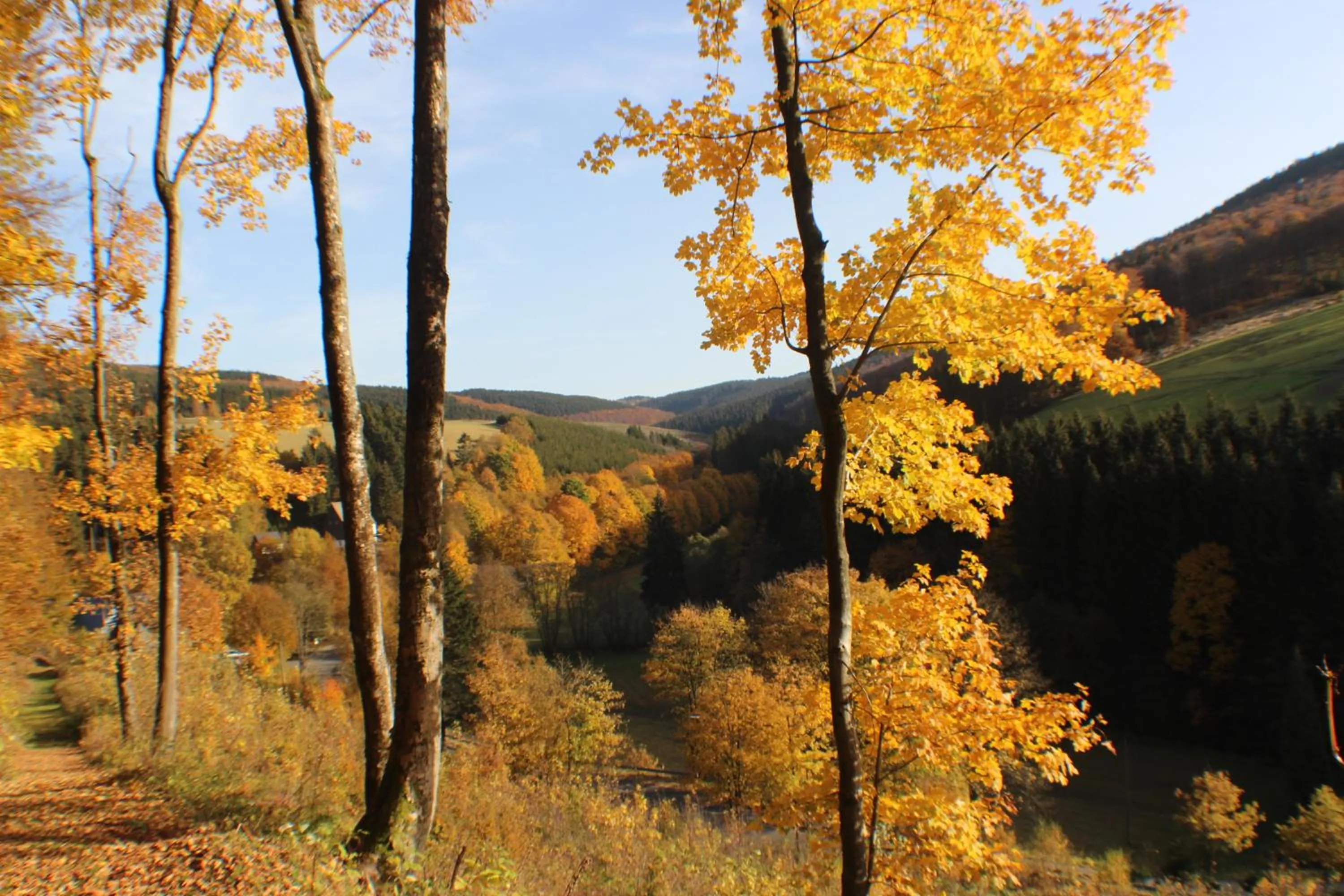 Natural landscape in Gasthof Braun