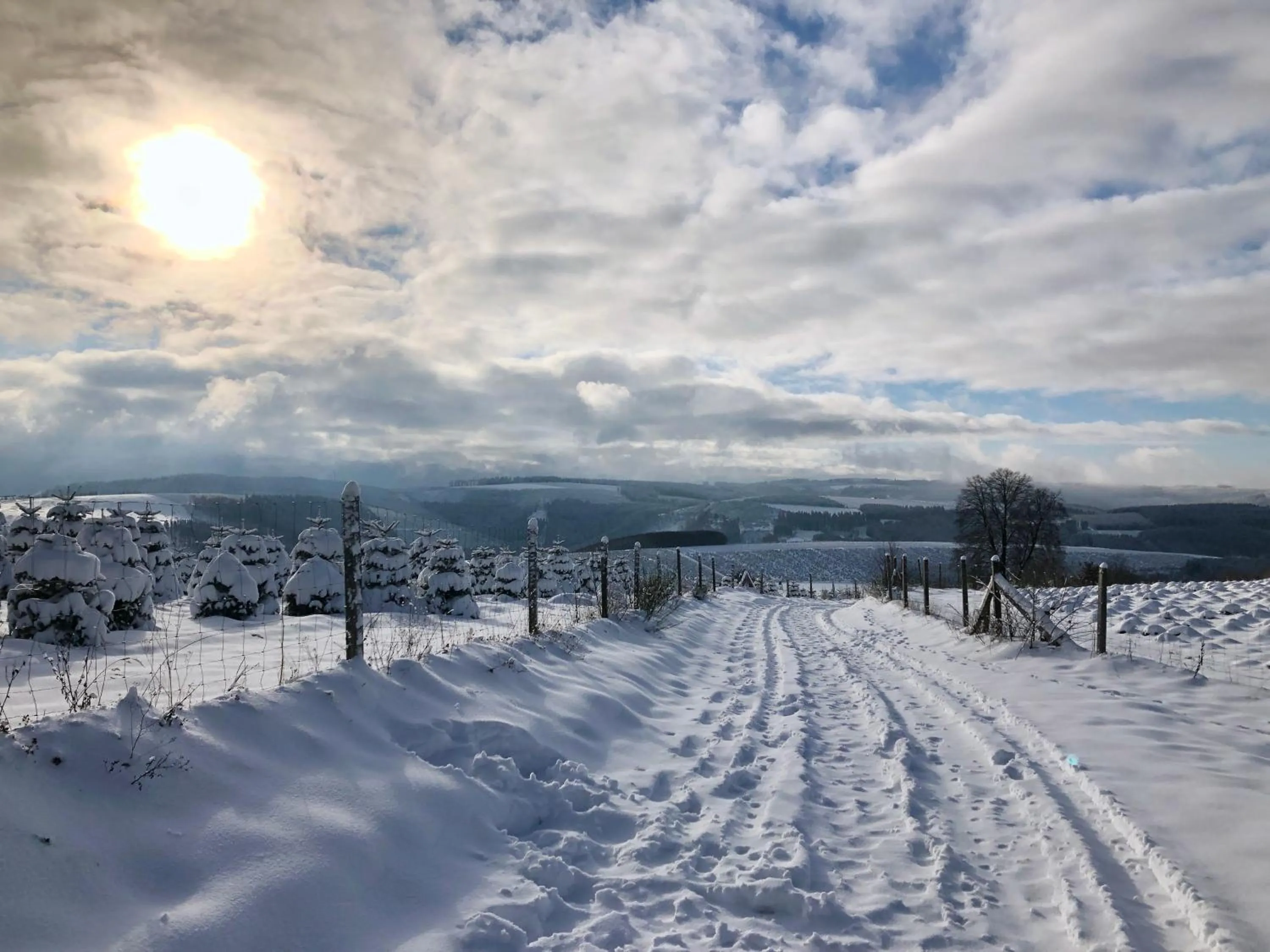 Winter in Gasthof Braun