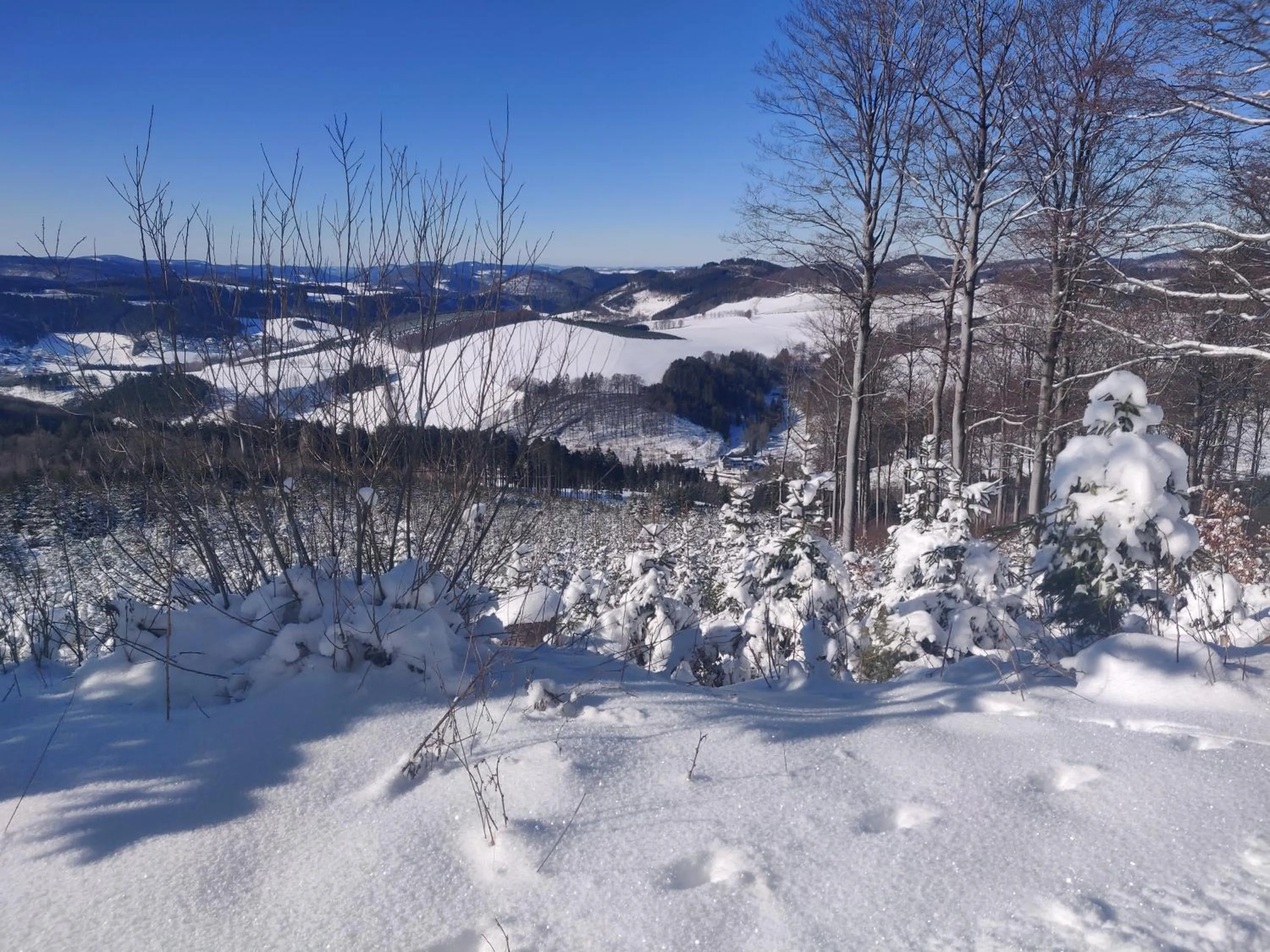 Property building in Gasthof Braun