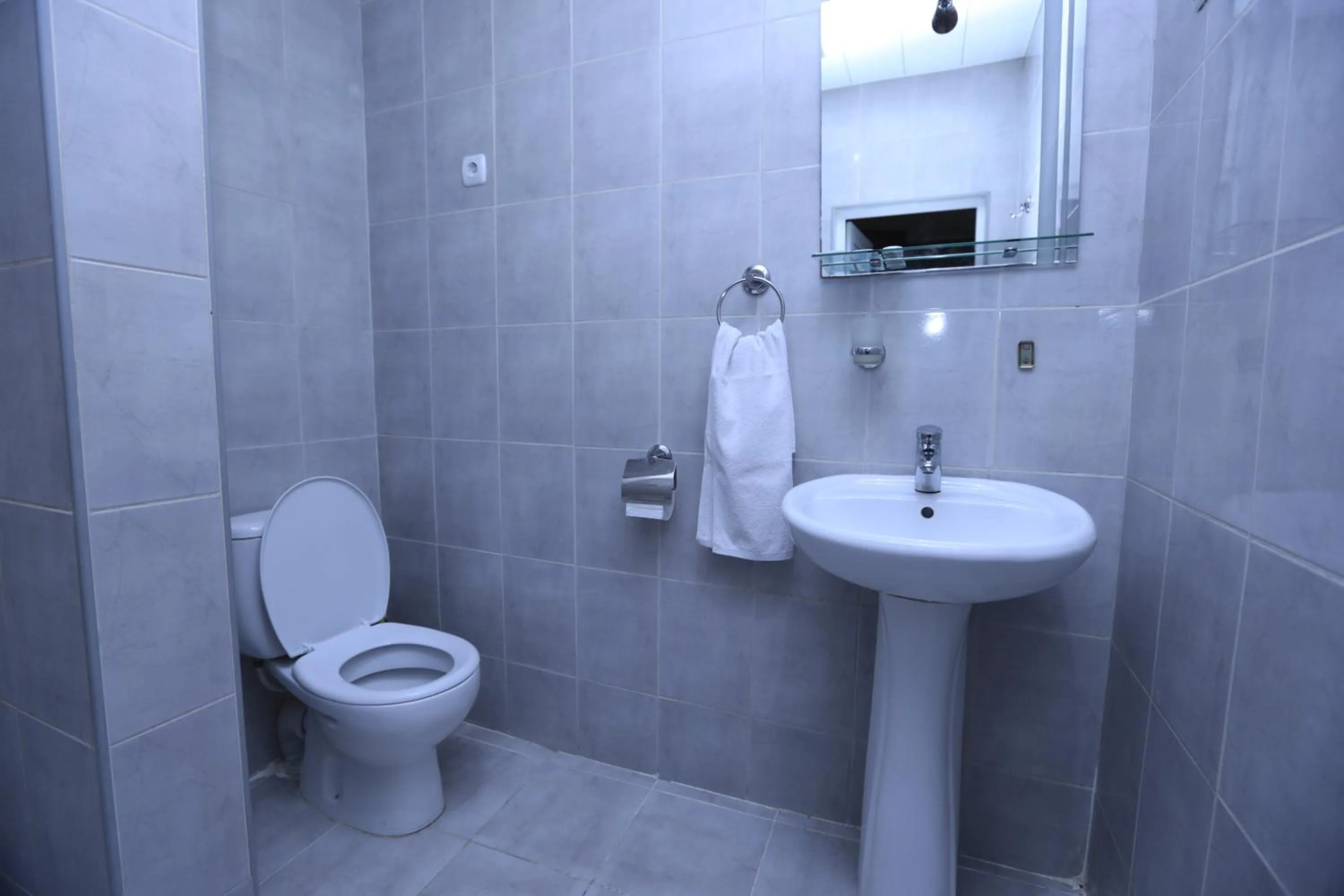 Toilet in Ortachala Palace