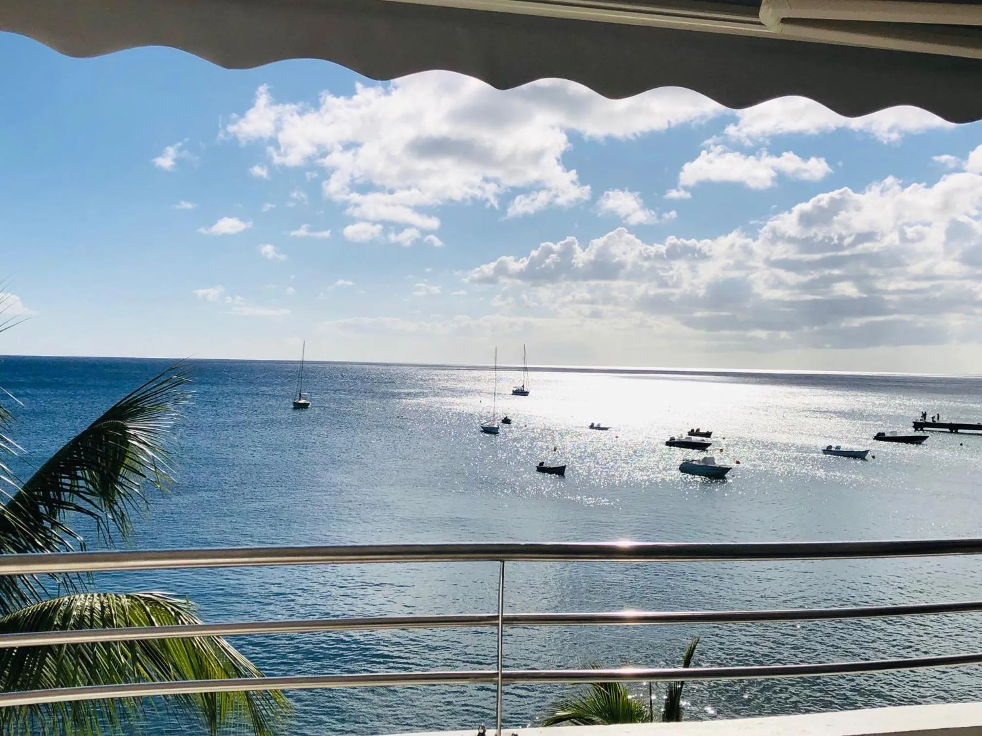 Balcony/Terrace in Hotel Pelican