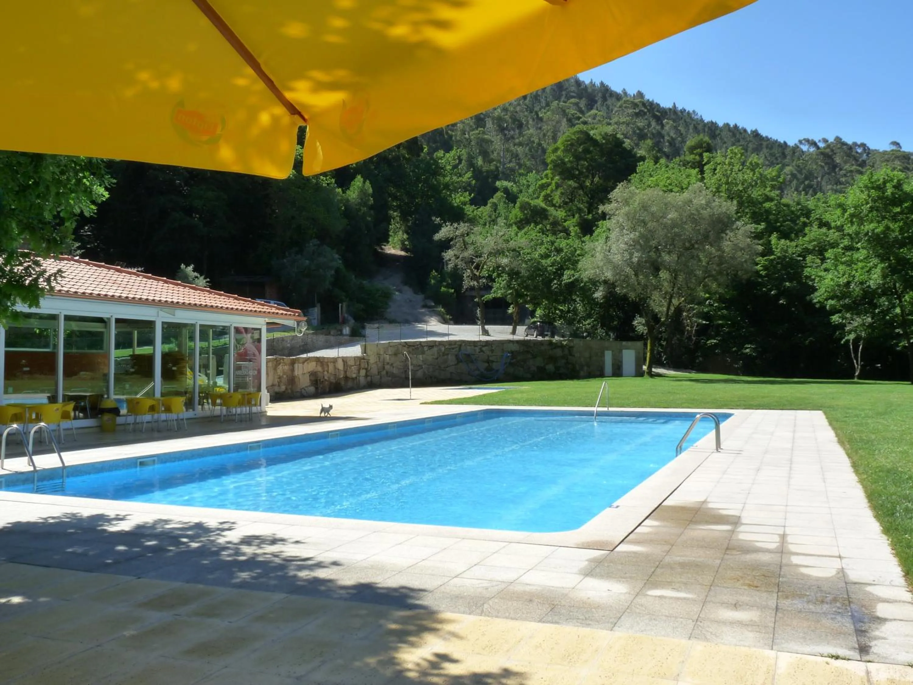 Swimming pool in Adelaide Hotel