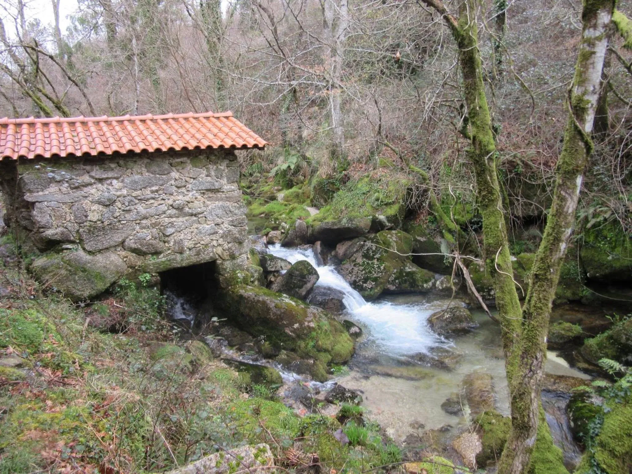 Natural landscape in Adelaide Hotel