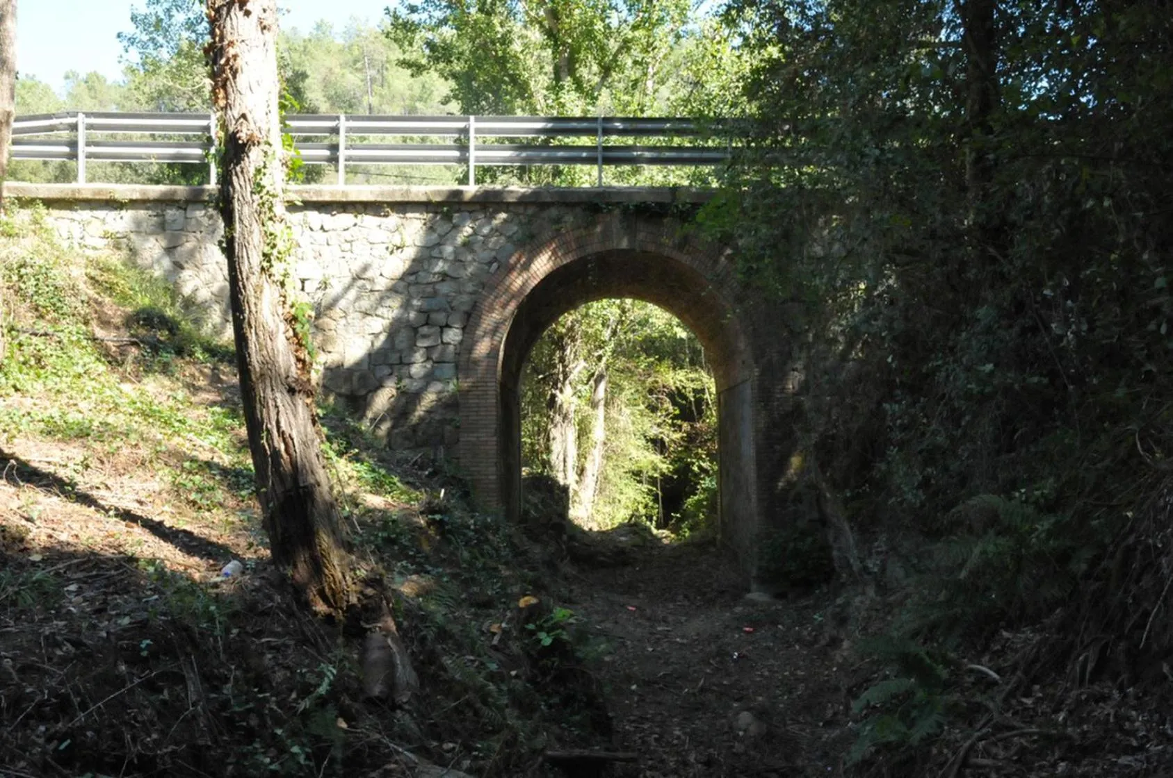 Natural landscape in Glamping Can Bora Lodges