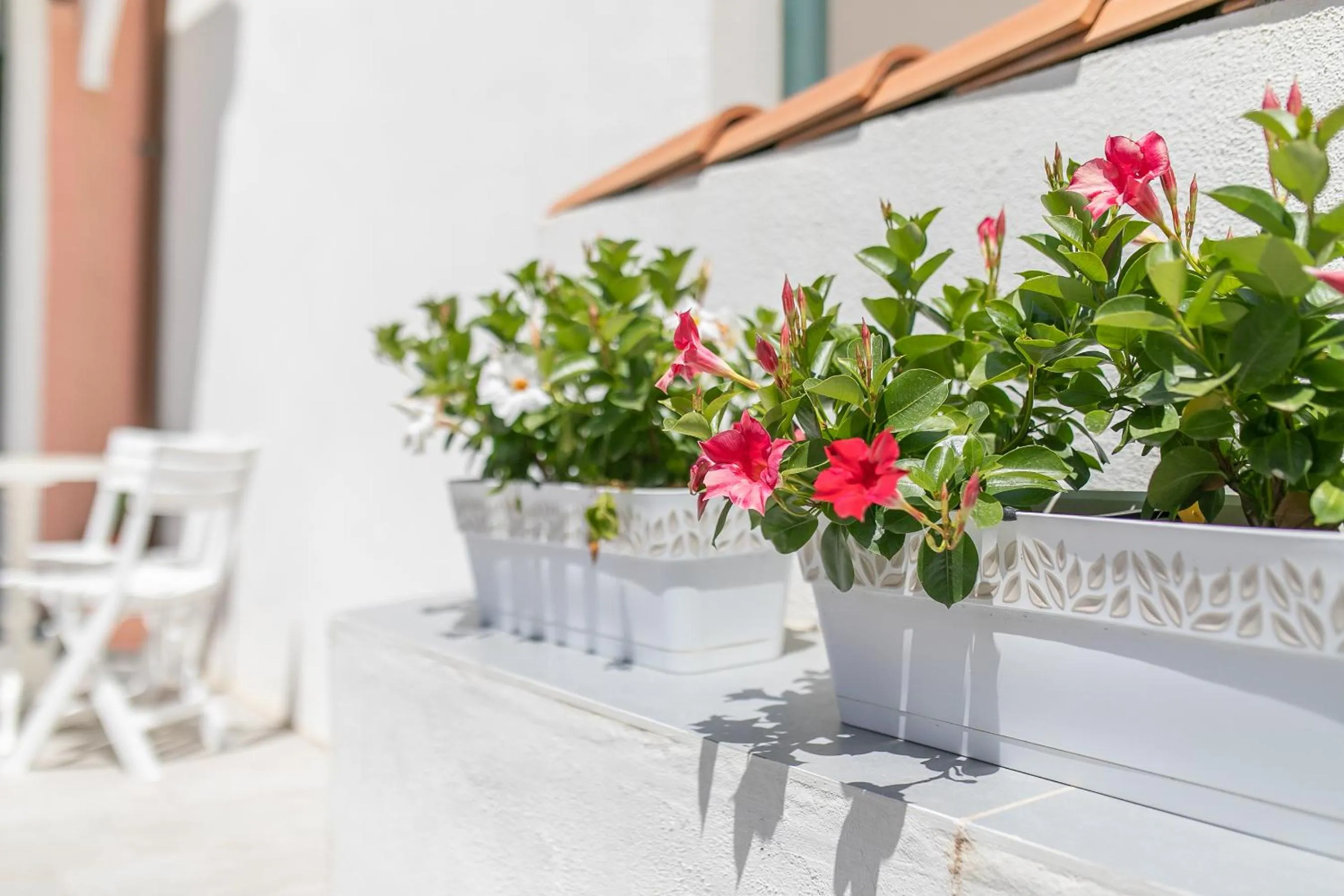 Facade/entrance in Tramonto sul mare