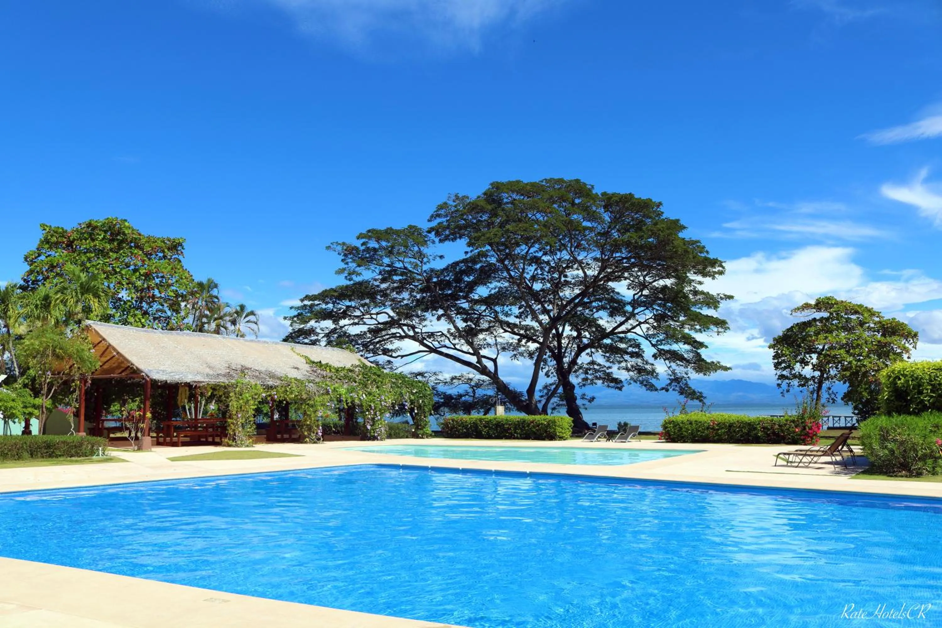 Swimming pool in OPacifico Hotel Boutique