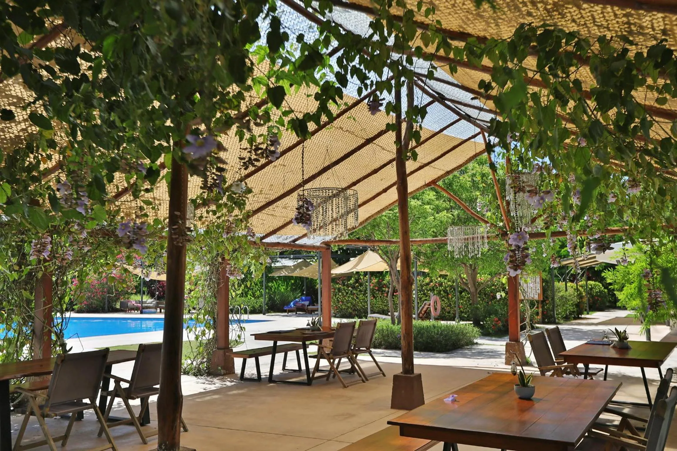 Restaurant/places to eat in OPacifico Hotel Boutique