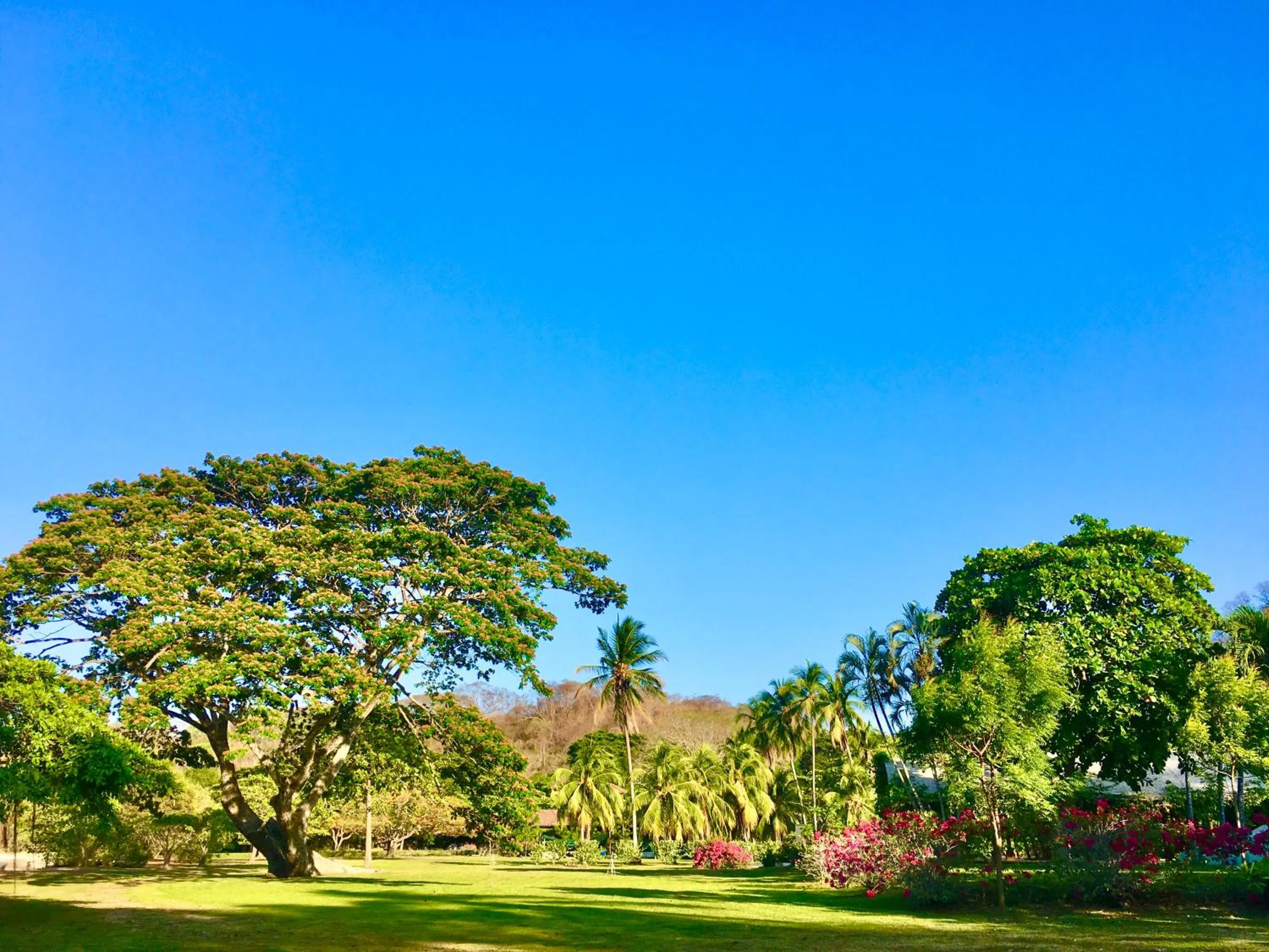 Off site in OPacifico Hotel Boutique