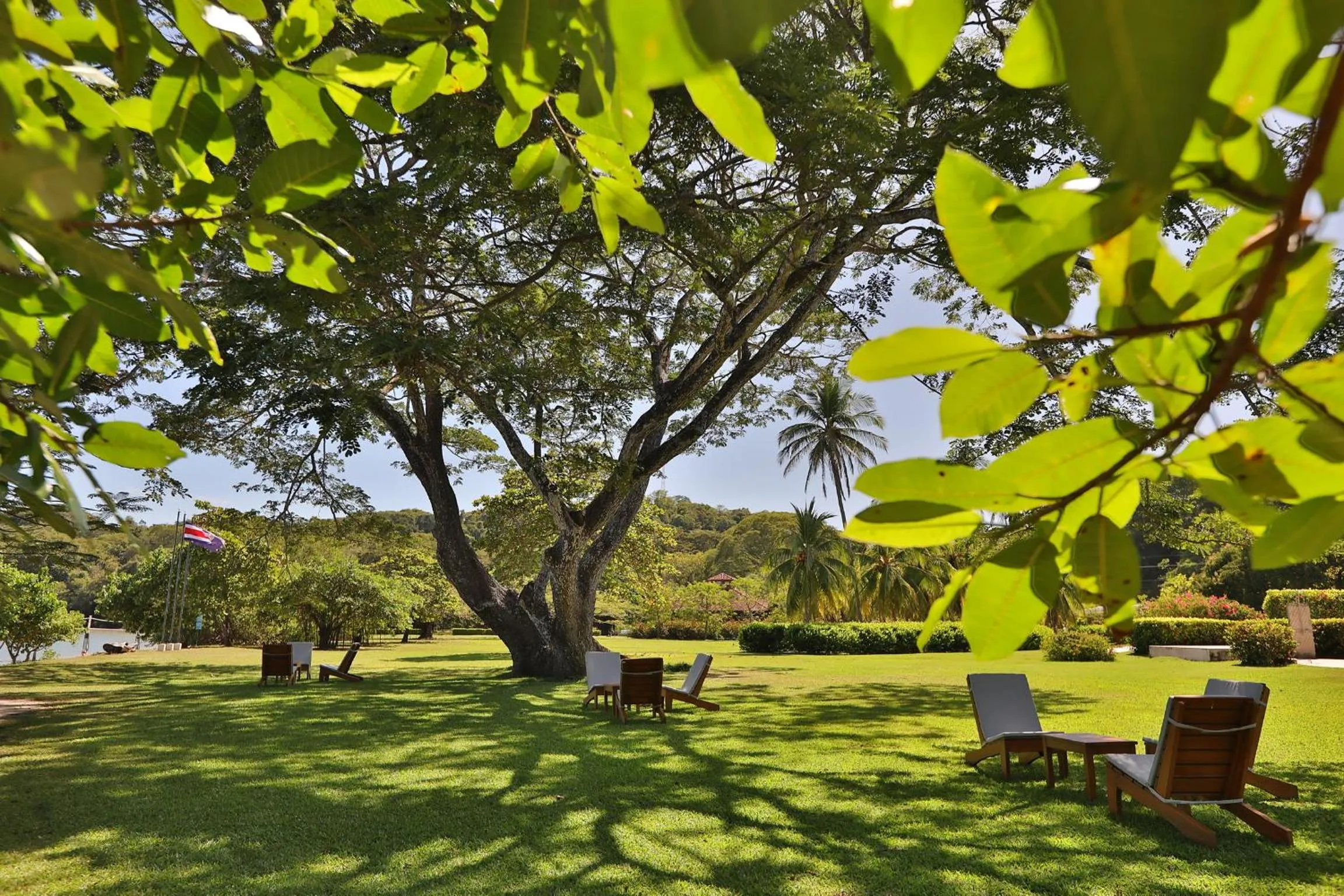 Garden in OPacifico Hotel Boutique