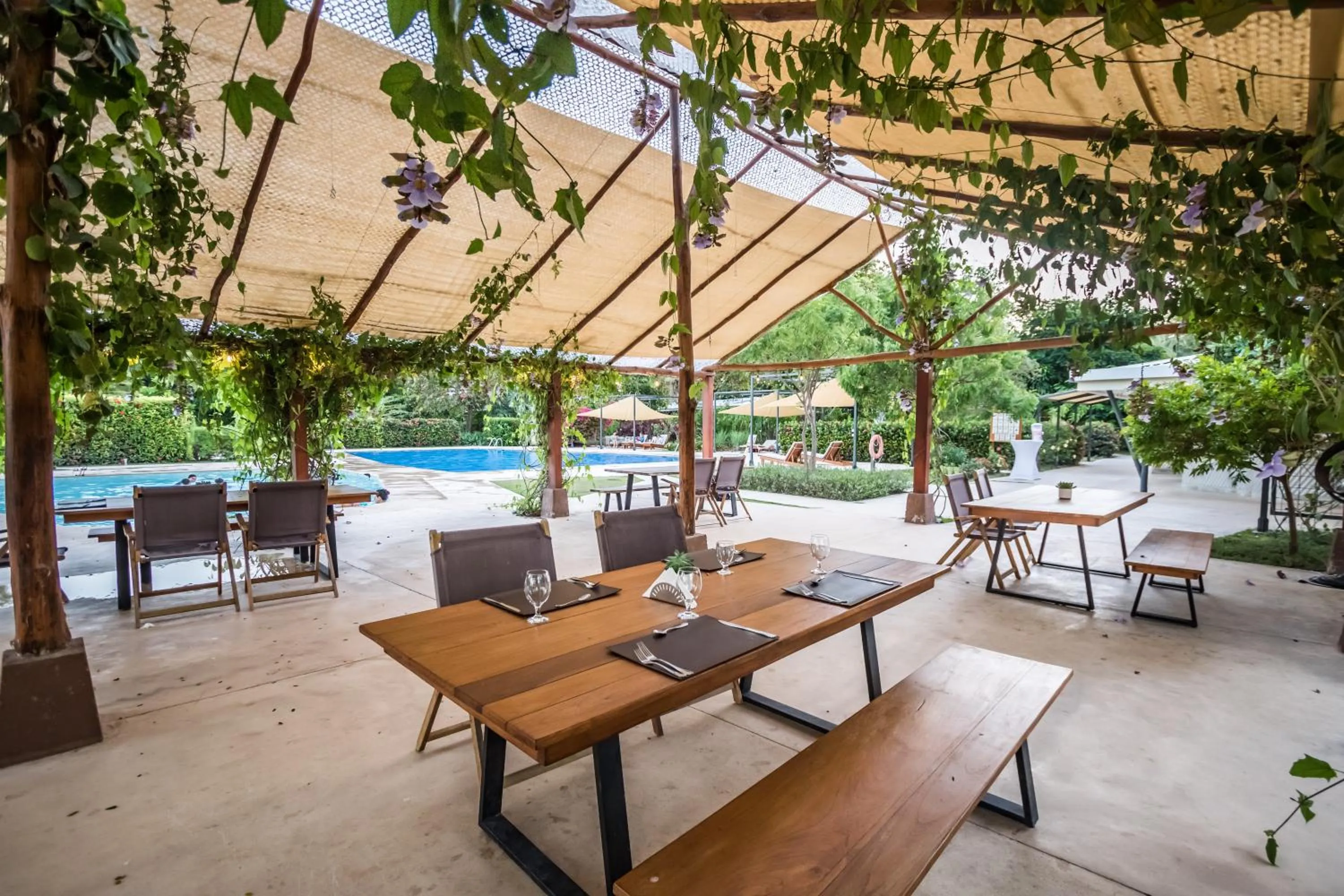 Area and facilities in OPacifico Hotel Boutique