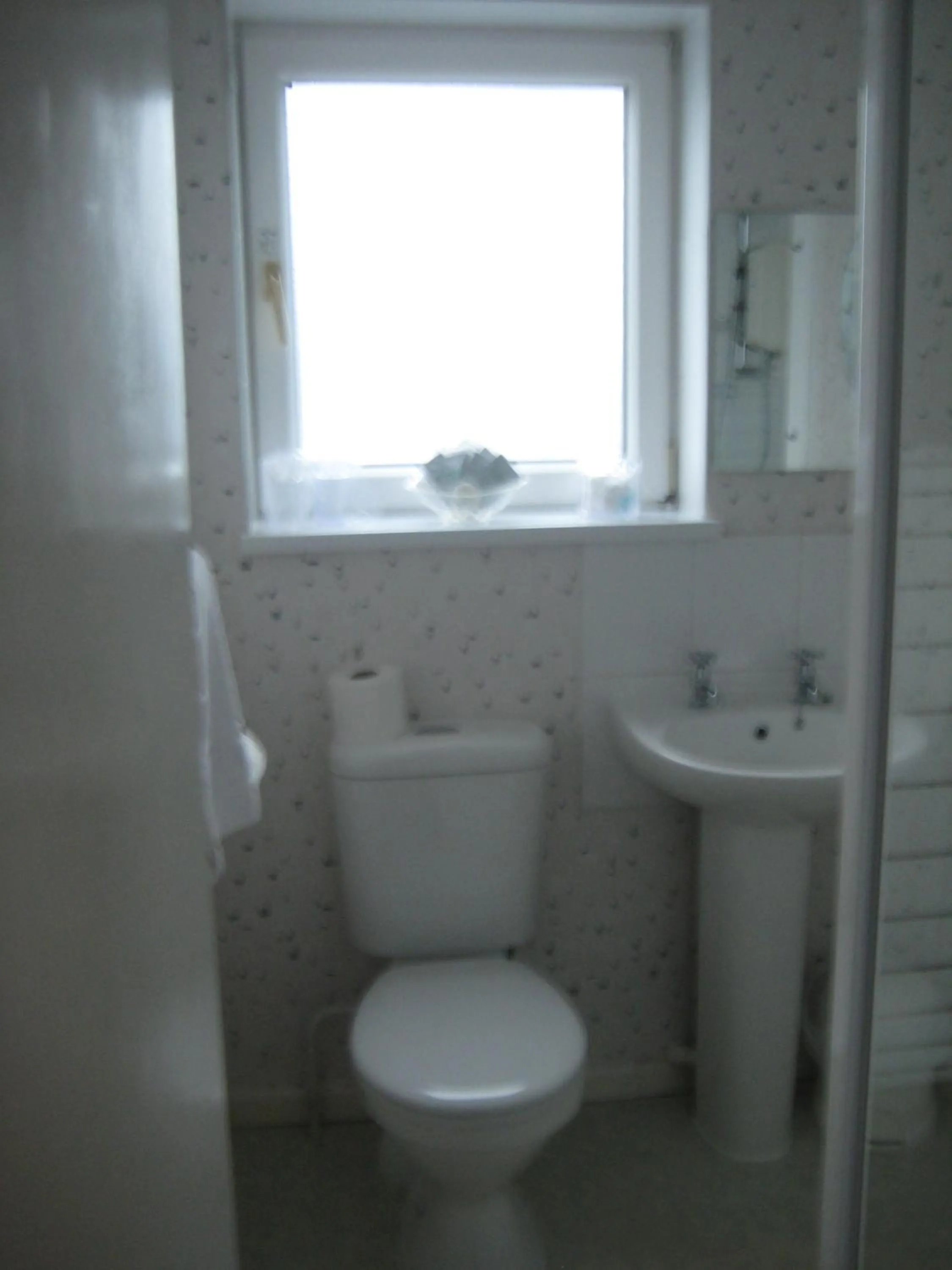 Toilet in Palm Court