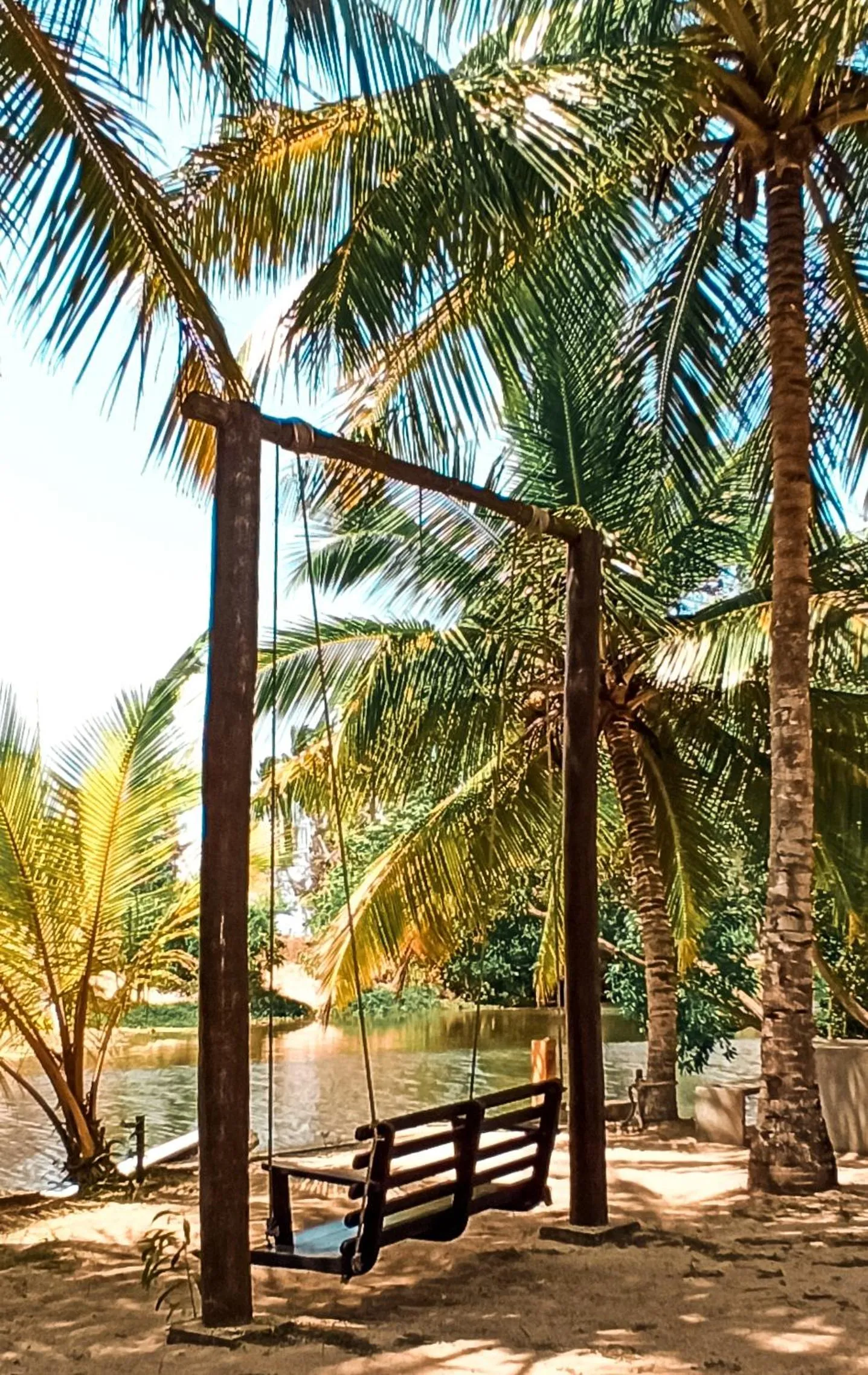 Garden in Lagoon Paradise Beach Resort