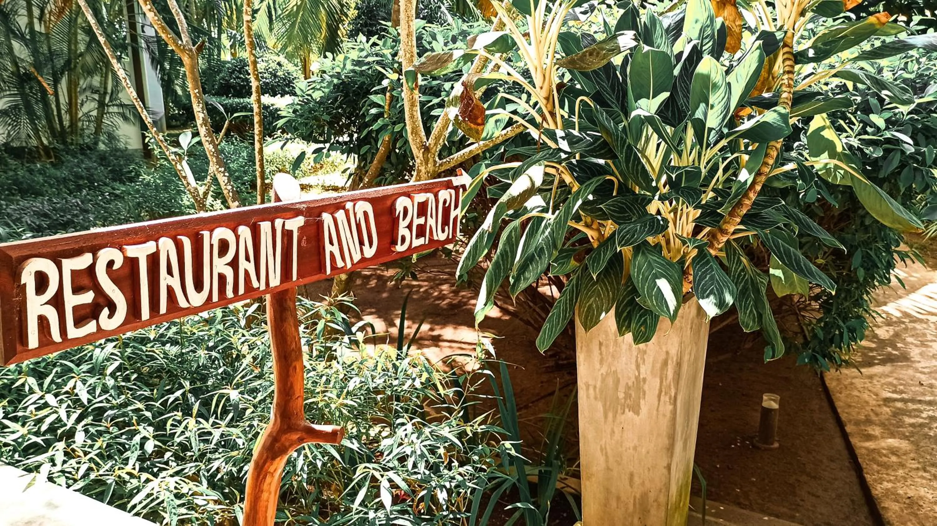 Restaurant/places to eat in Lagoon Paradise Beach Resort