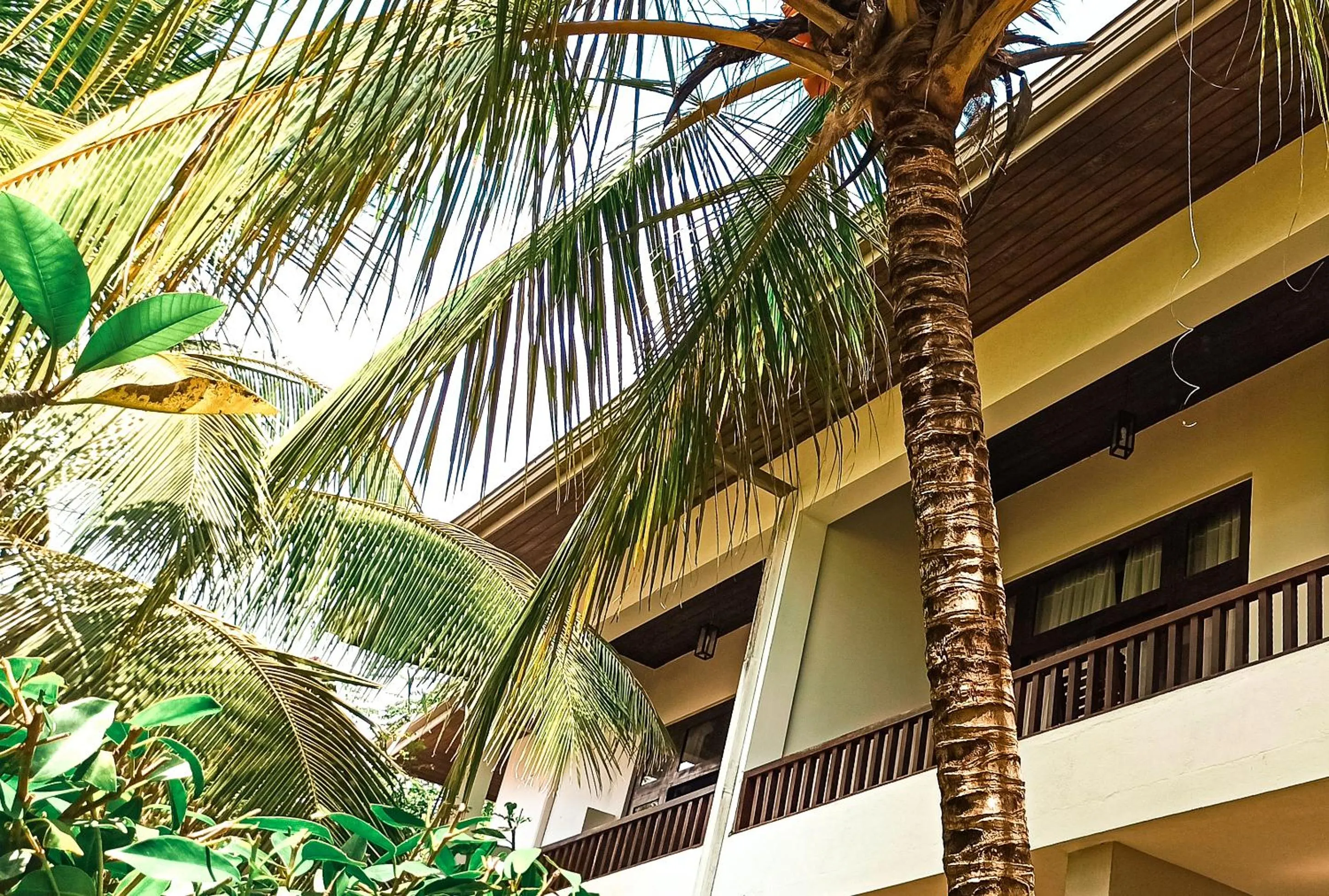 Property building in Lagoon Paradise Beach Resort