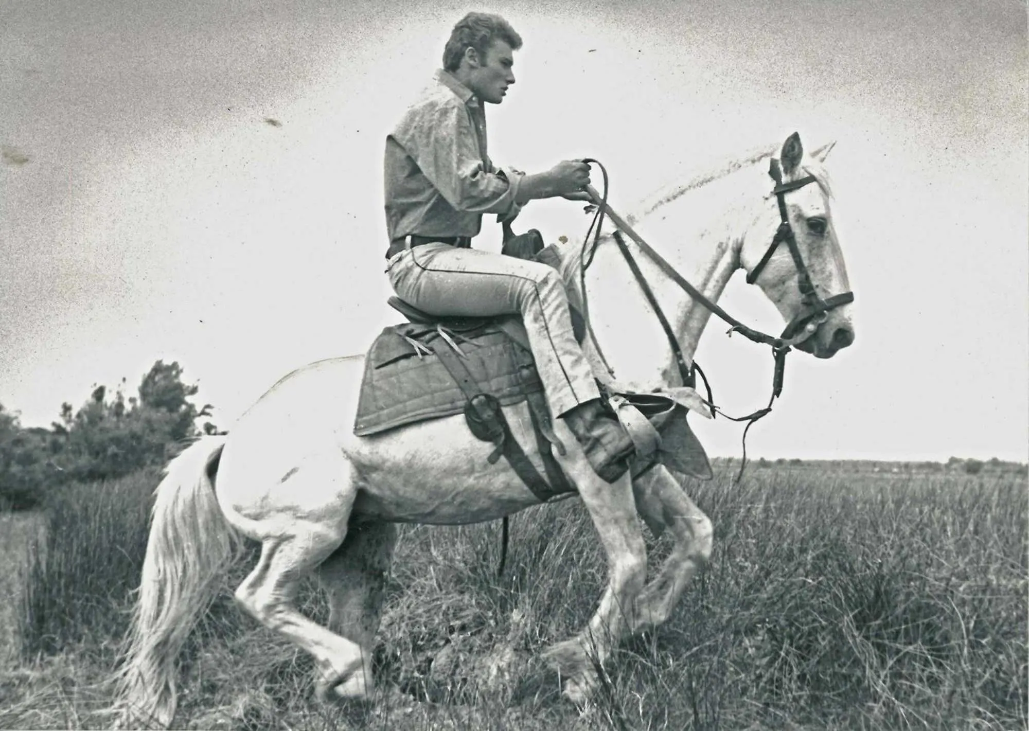 Natural landscape in Hôtel Le Neptune en Camargue