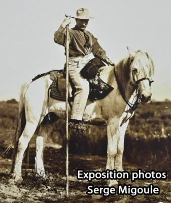 Hôtel Le Neptune en Camargue
