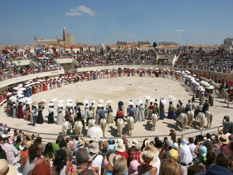 Hôtel Le Neptune en Camargue