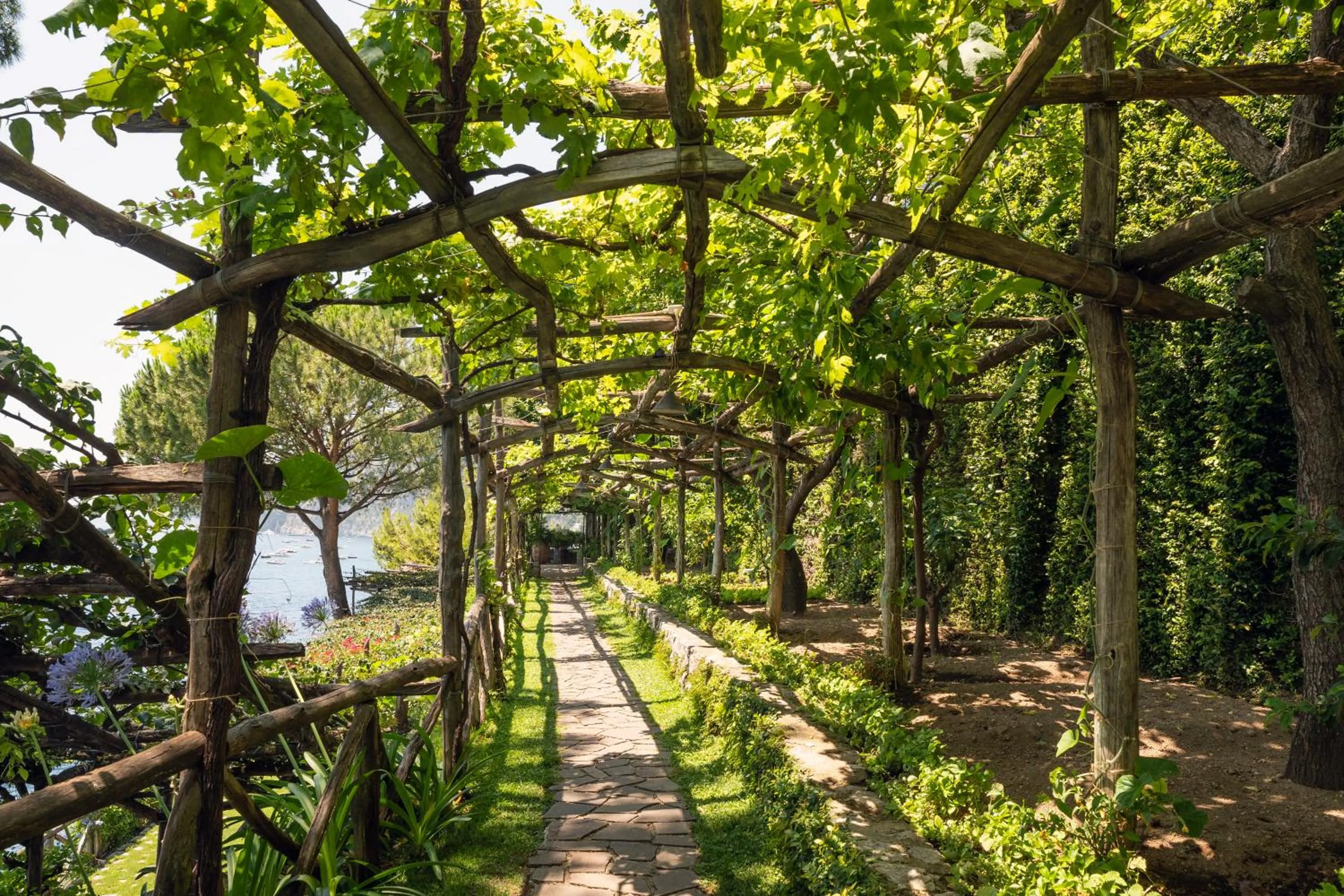 Garden in Villa Treville
