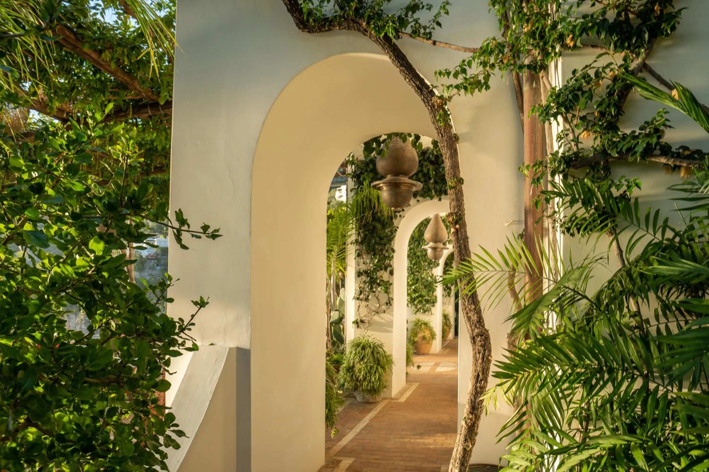 Garden in Villa Treville