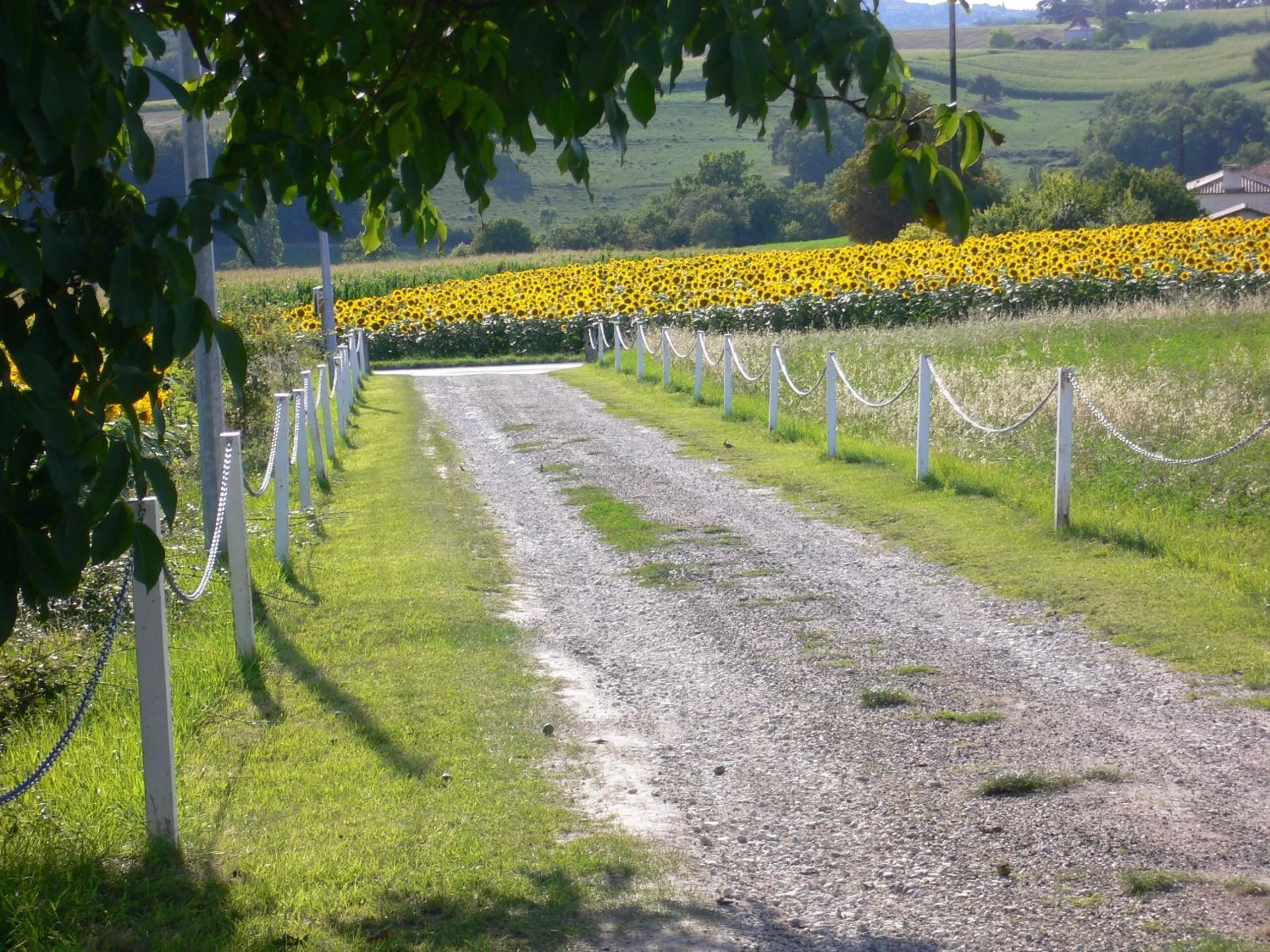 Area and facilities in Chambres d'Hôtes Domaine de Beunes