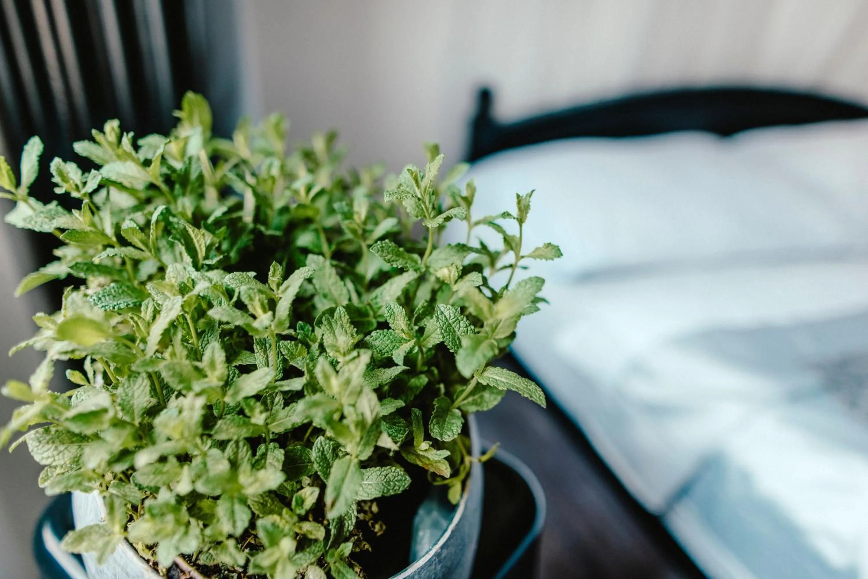 Decorative detail, Bed in Wake Up Wellness Hostel