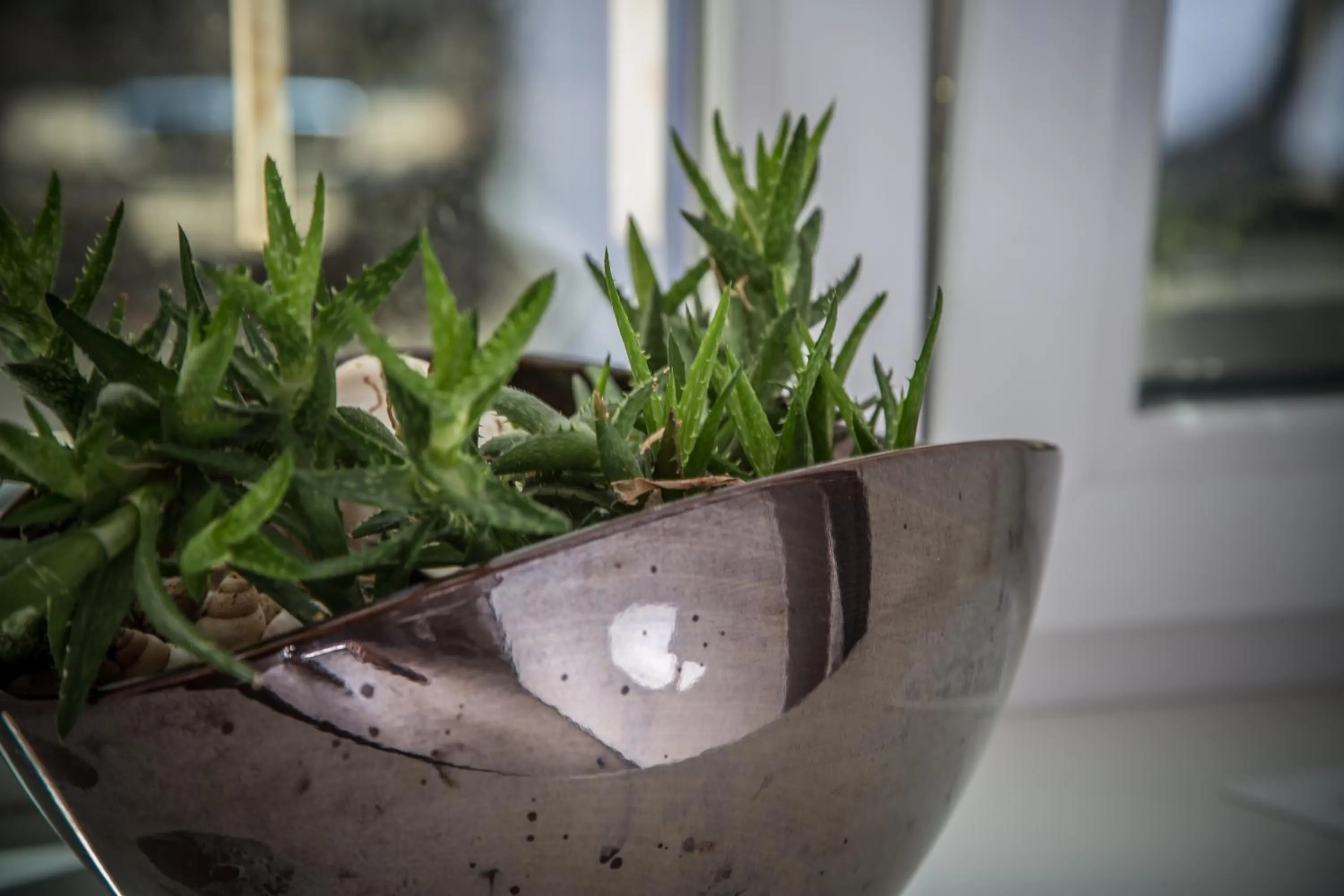 Decorative detail in Wake Up Wellness Hostel