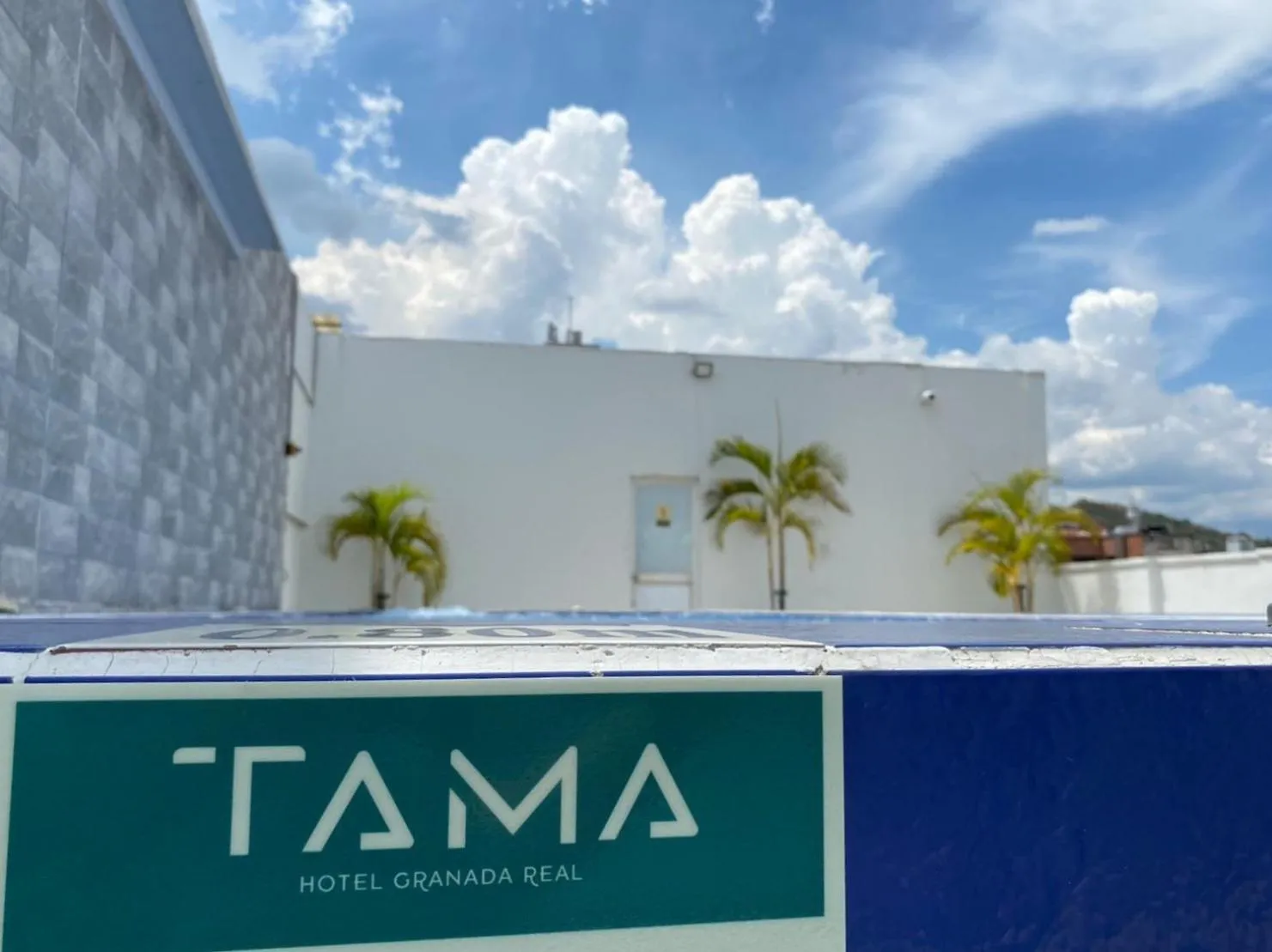 Day in TAMA Hotel Granada Real Cali