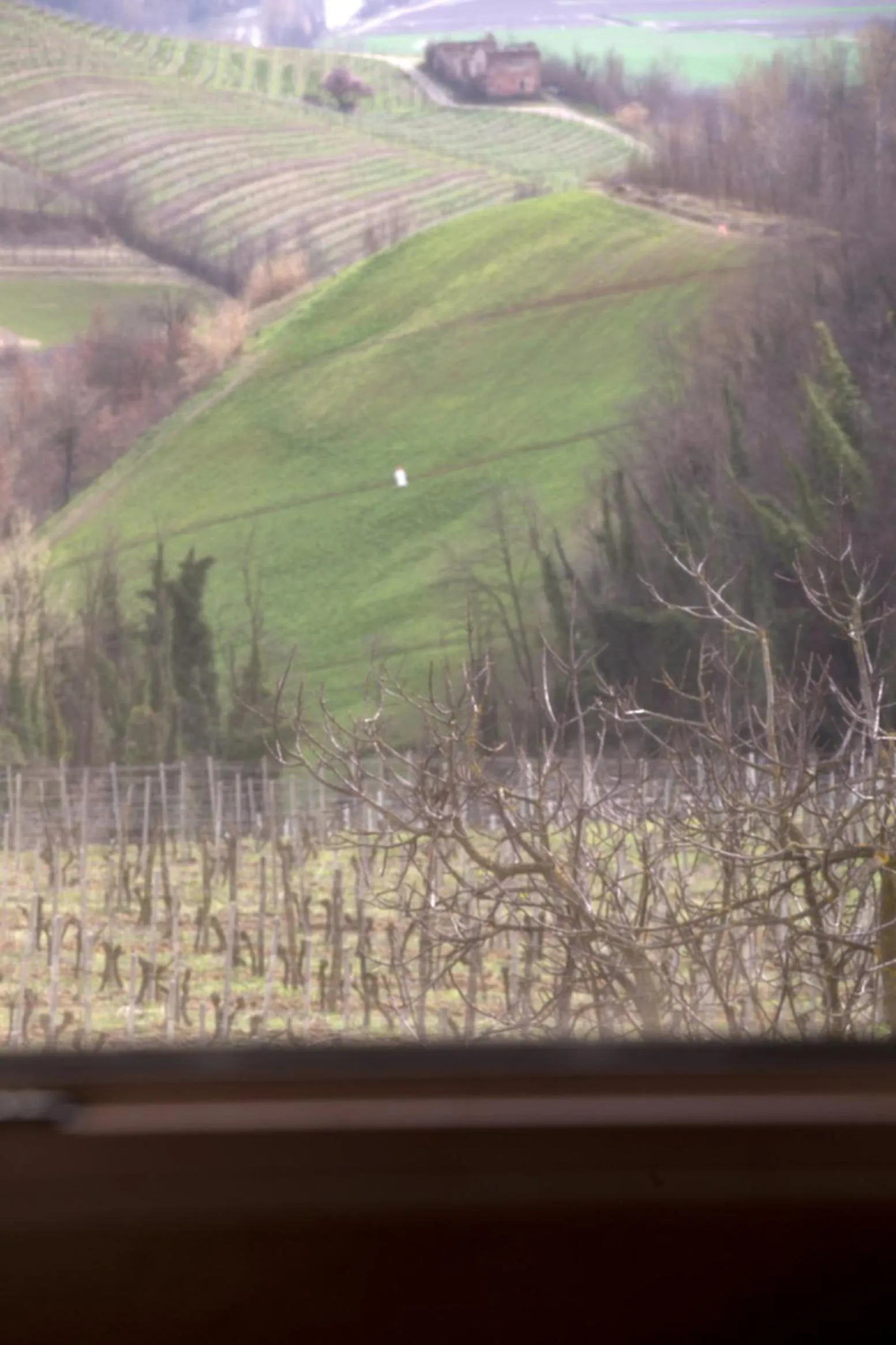 View (from property/room) in Cascina Marcantonio