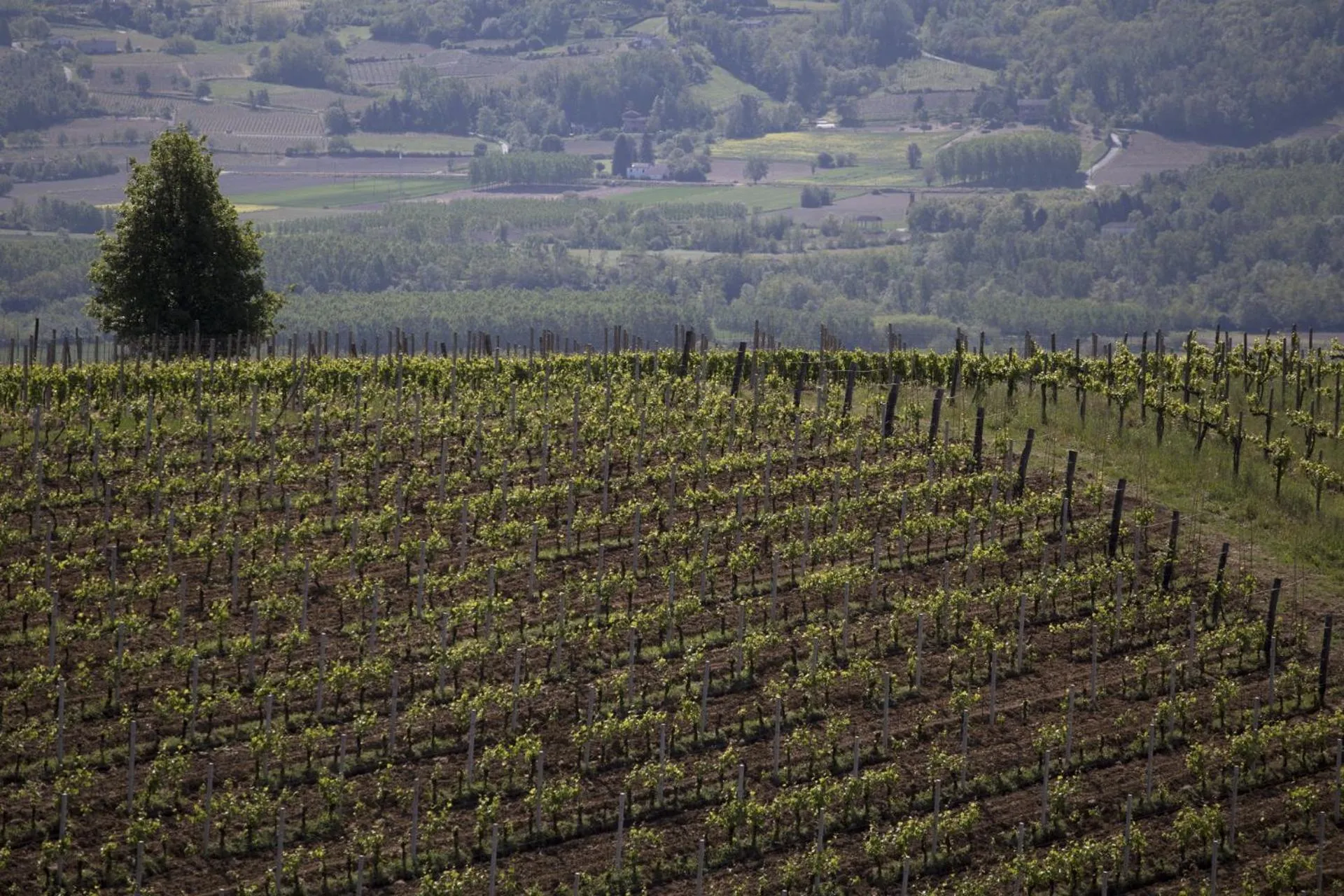 View (from property/room) in Cascina Marcantonio