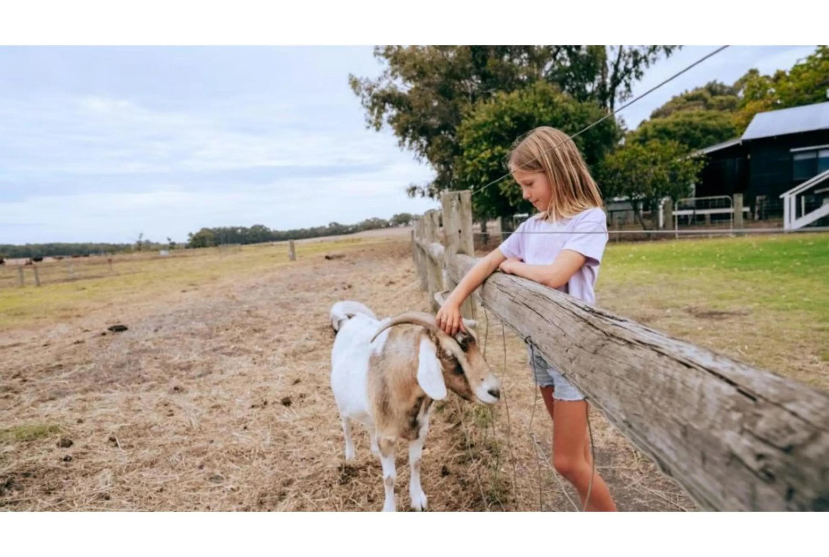 Animals in Discovery Parks Margaret River