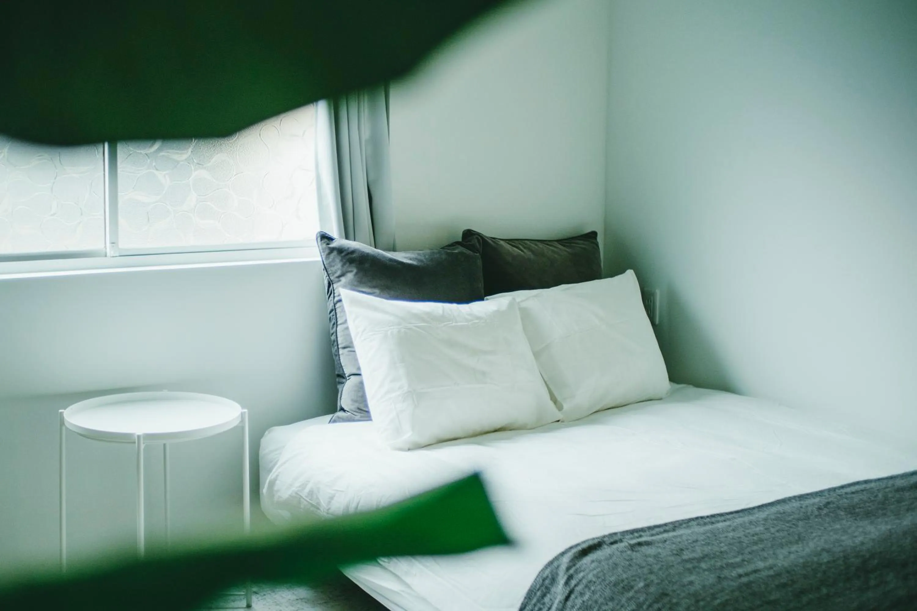 Bed in Hippo Hostel and Cafe Bar