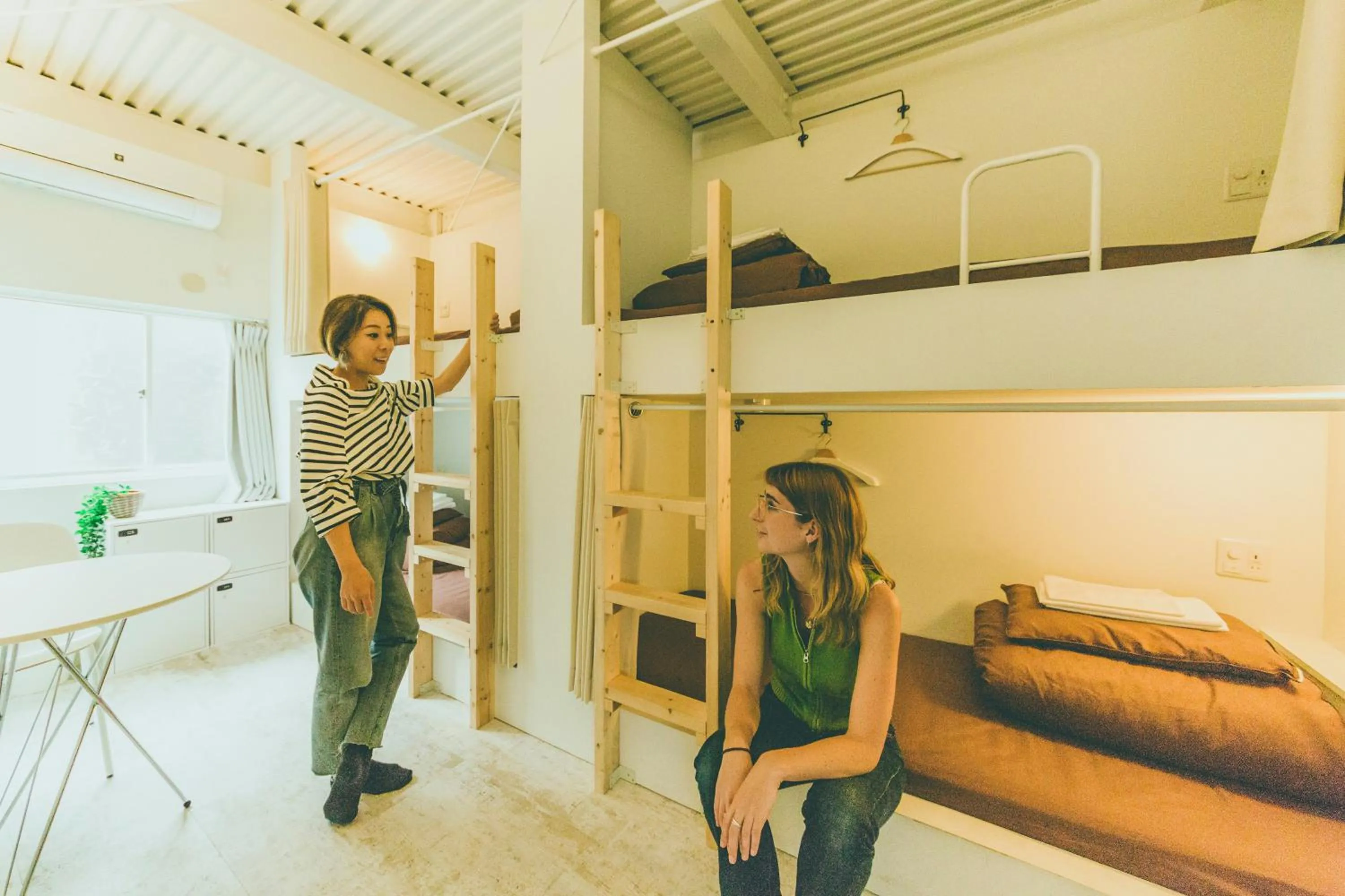 Staff, Bed in Hippo Hostel and Cafe Bar