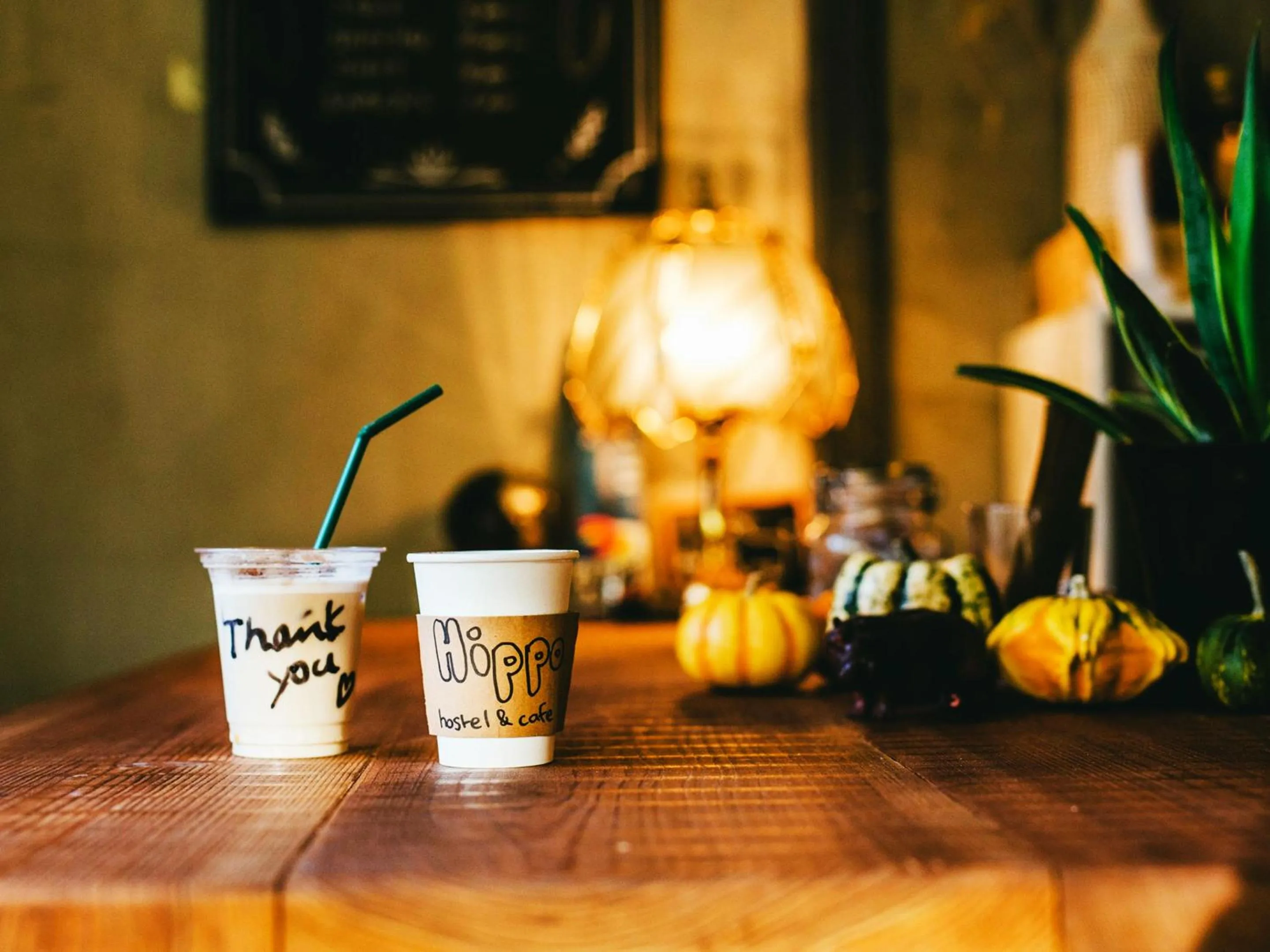 Lounge or bar in Hippo Hostel and Cafe Bar