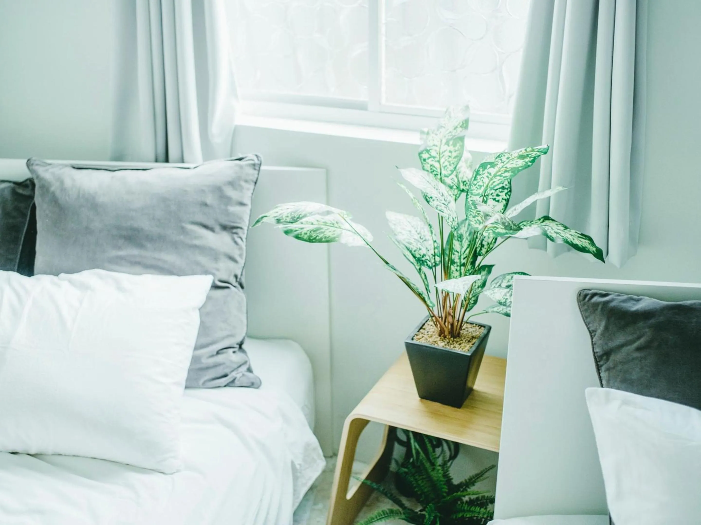 Photo of the whole room, Bed in Hippo Hostel and Cafe Bar