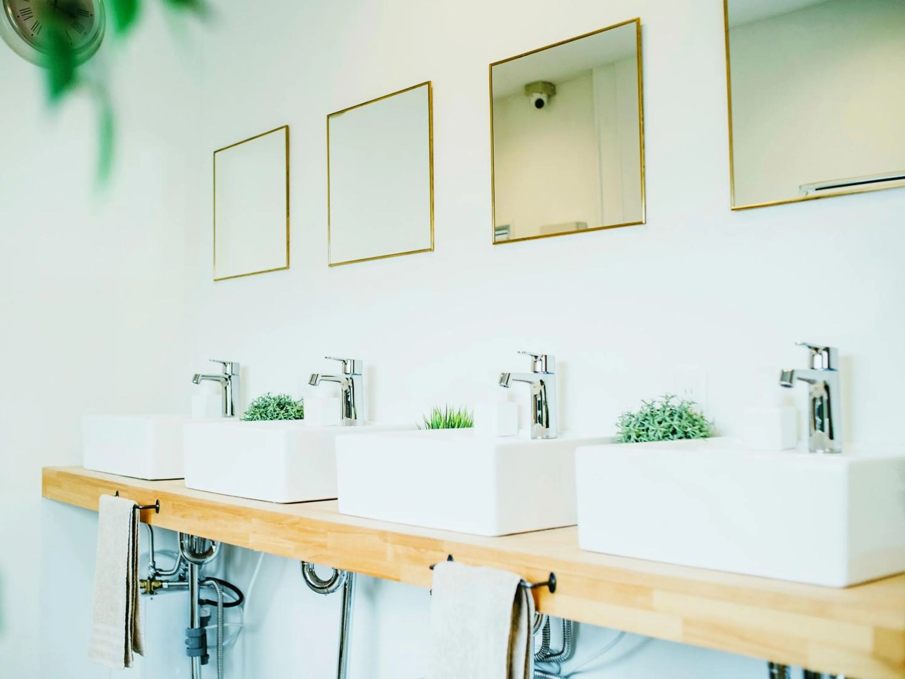 Area and facilities in Hippo Hostel and Cafe Bar